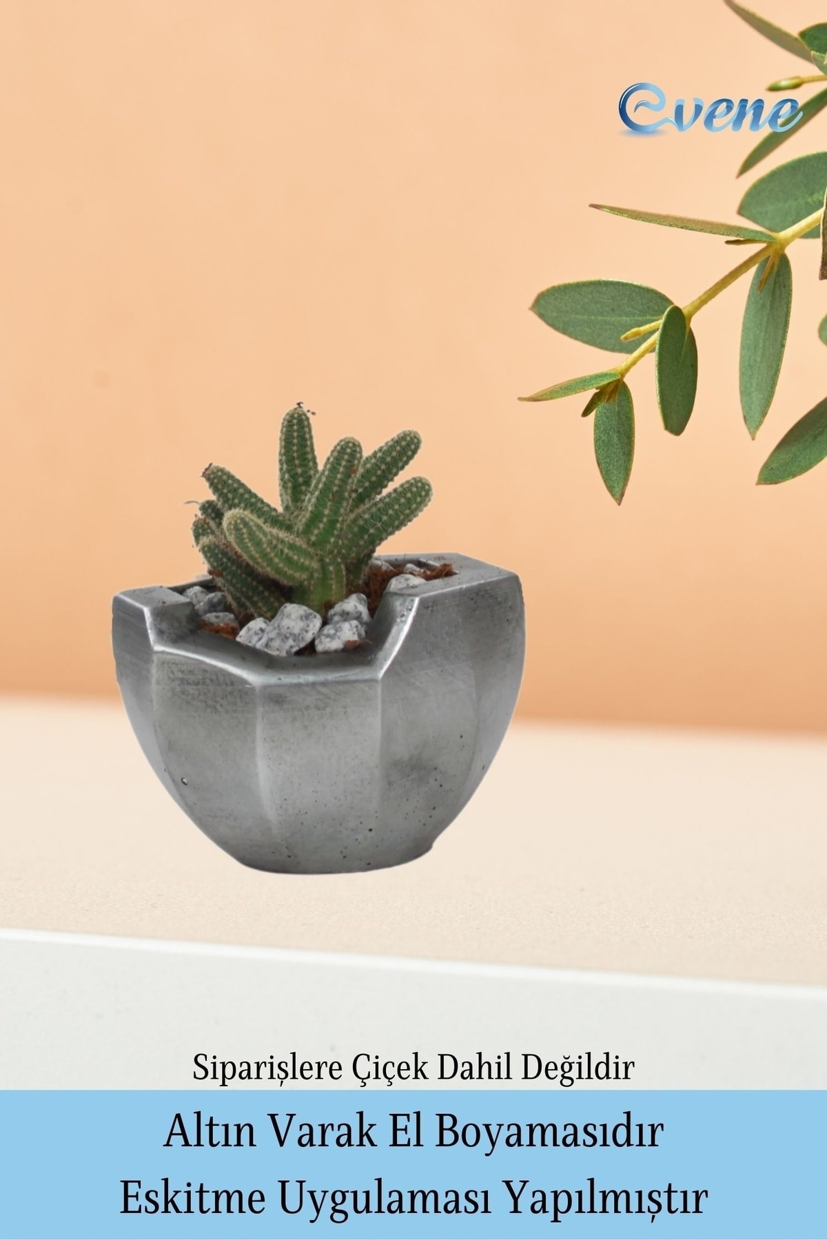 Saksı Çiçek Kaktüs Saksısı Lüx 15 Cm Gümüş Eskitme Varak Boyalı Önü Açık Desen Saksı Çiçeklik
