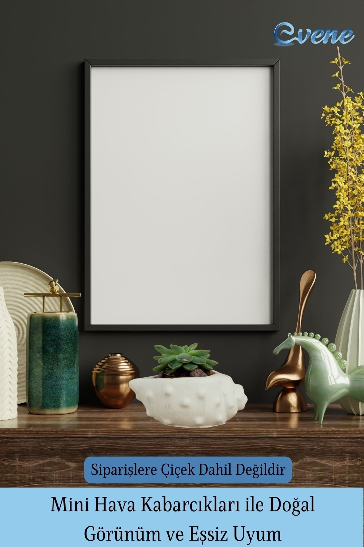 Mini Çiçek Saksı Küçük Sukulent Beyaz Kaktüs Saksısı 3'lü Set Deniz Kabuğu Model