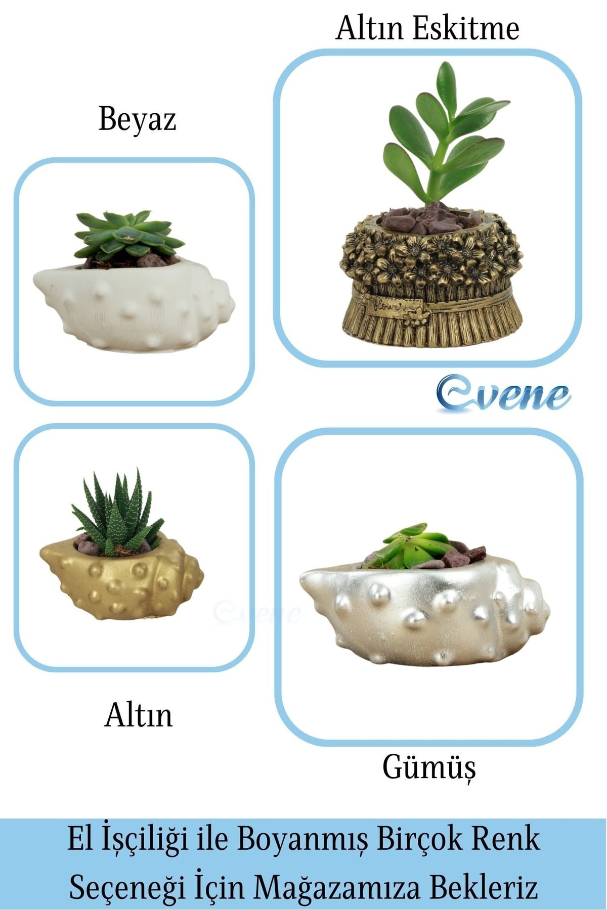 Mini Çiçek Saksı Küçük Sukulent Beyaz Kaktüs Saksısı 3'lü Set Deniz Kabuğu Model