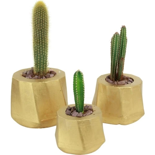 Stein Kohle Çiçek Saksısı Büyük Boy 3 Adet Altın Renk Uygulamalı Kalın Çizgi Model