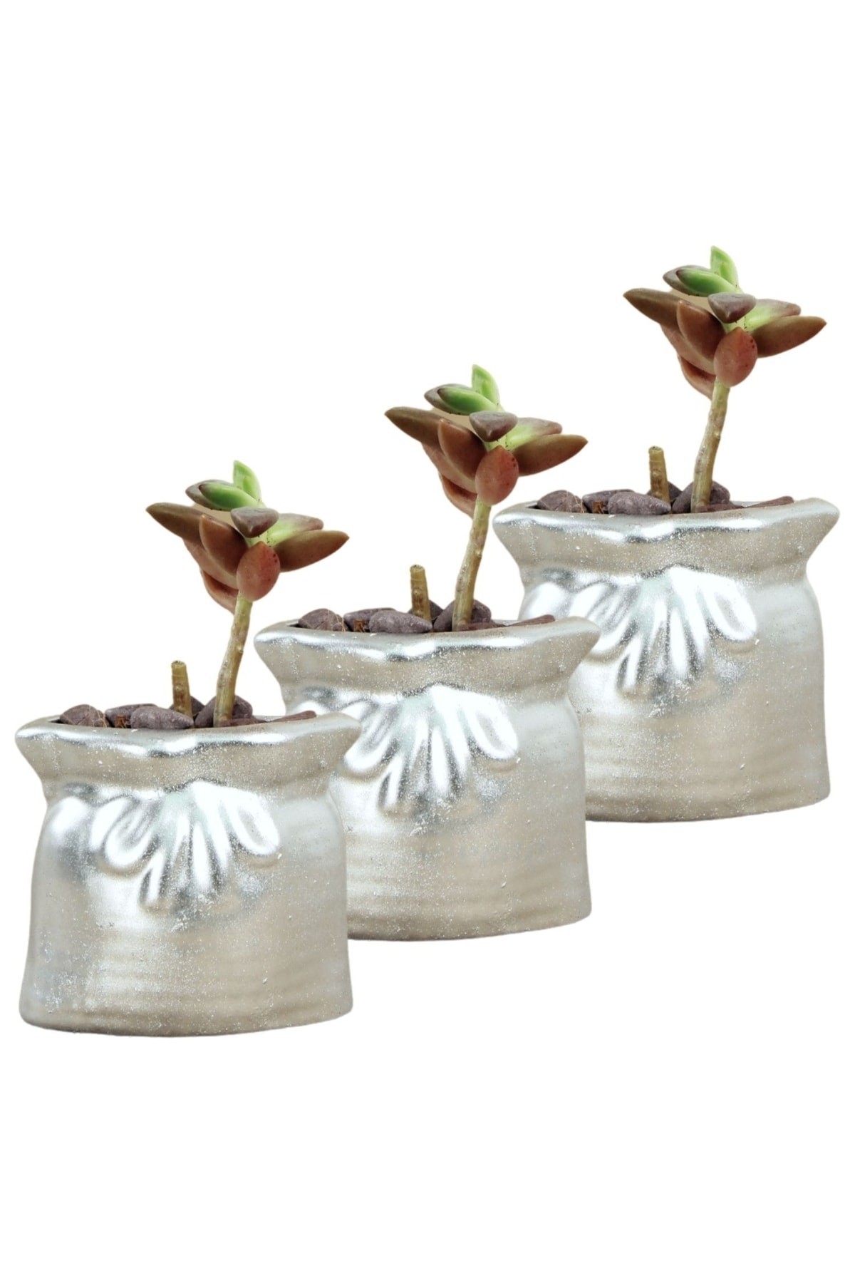 Mini Çiçek Saksı Küçük Sukulent Gümüş Kaktüs Saksısı 3'lü Set Kese Model