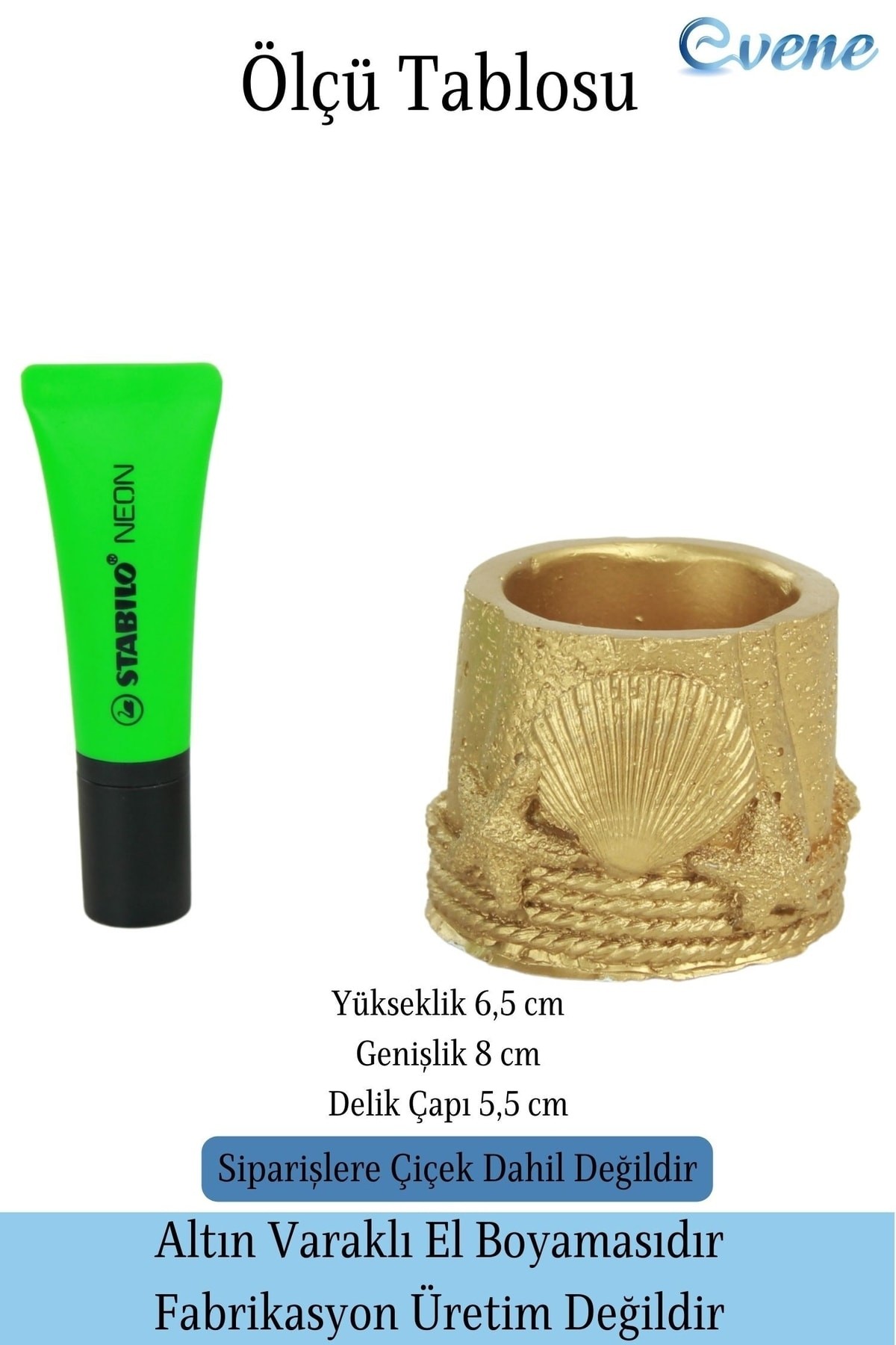 Mini Çiçek Saksı Küçük Sukulent Beyaz Kaktüs Saksısı Deniz Yıldızlı Kabuklu Model