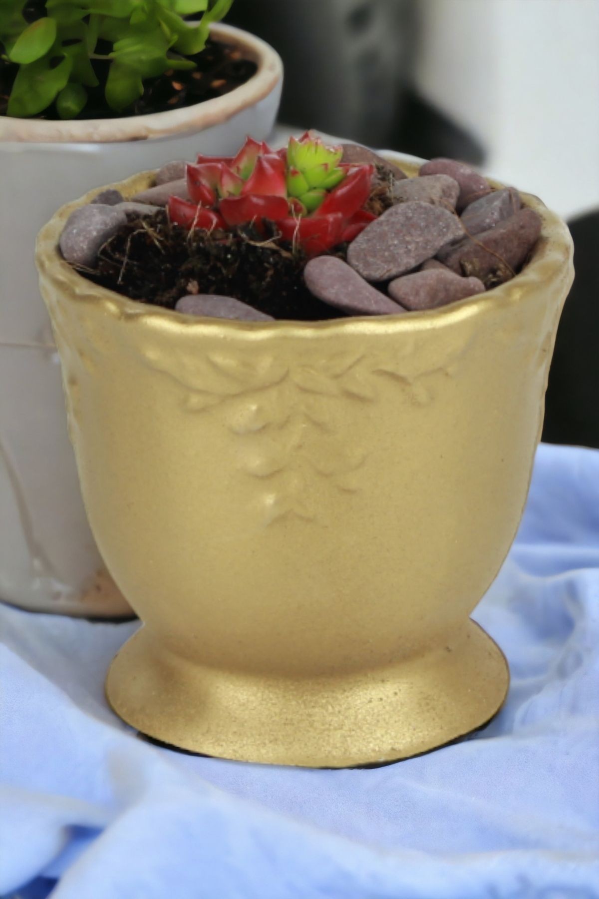 Altın thumbnail image