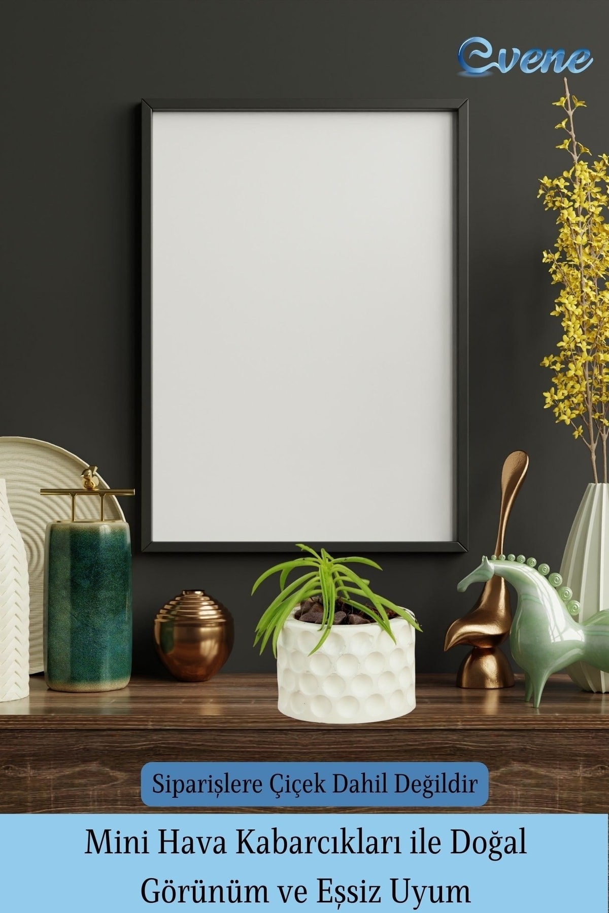 Mini Çiçek Saksı Küçük Sukulent Beyaz Kaktüs Saksısı 3'lü Set Puantiyeli Model