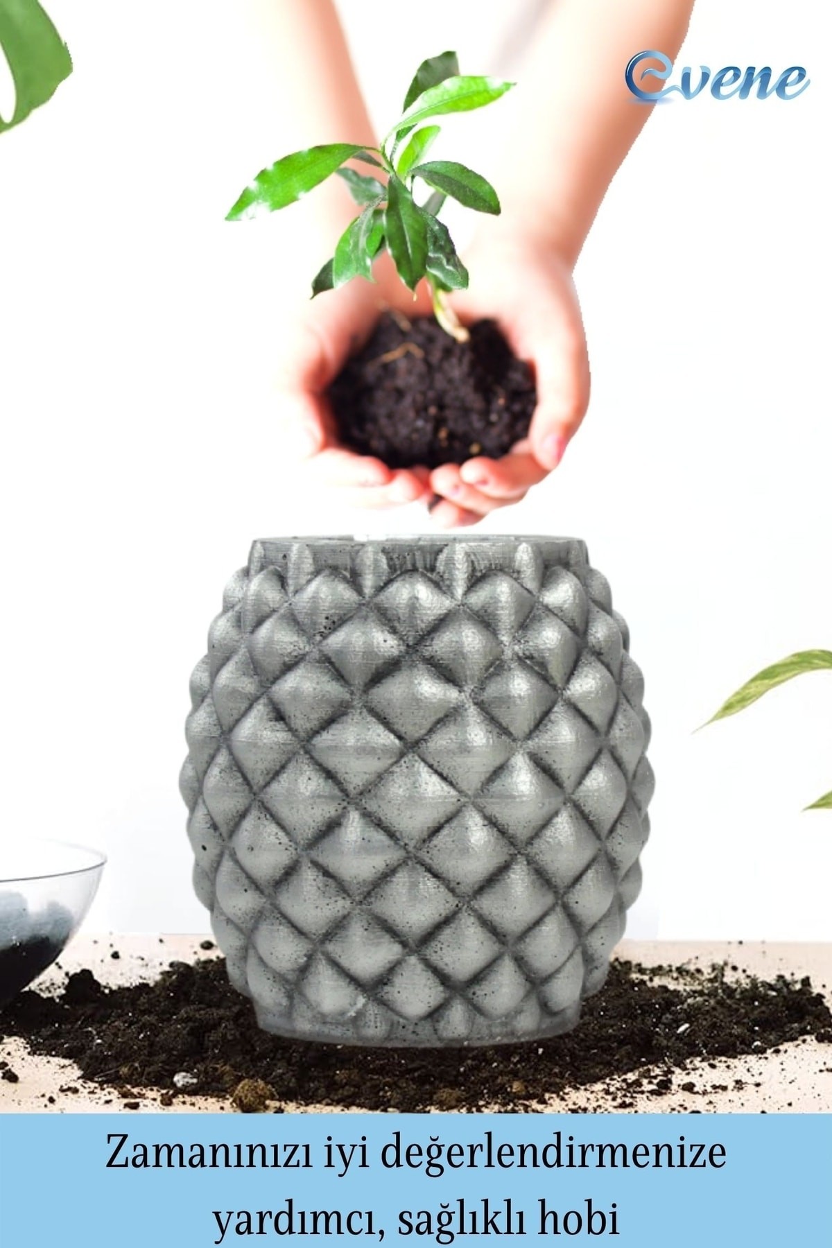 Ahşap Ayaklı Beton Saksı Büyük Boy 1 Adet Gümüş Varak Boyalı Eskitmeli Ananas Model
