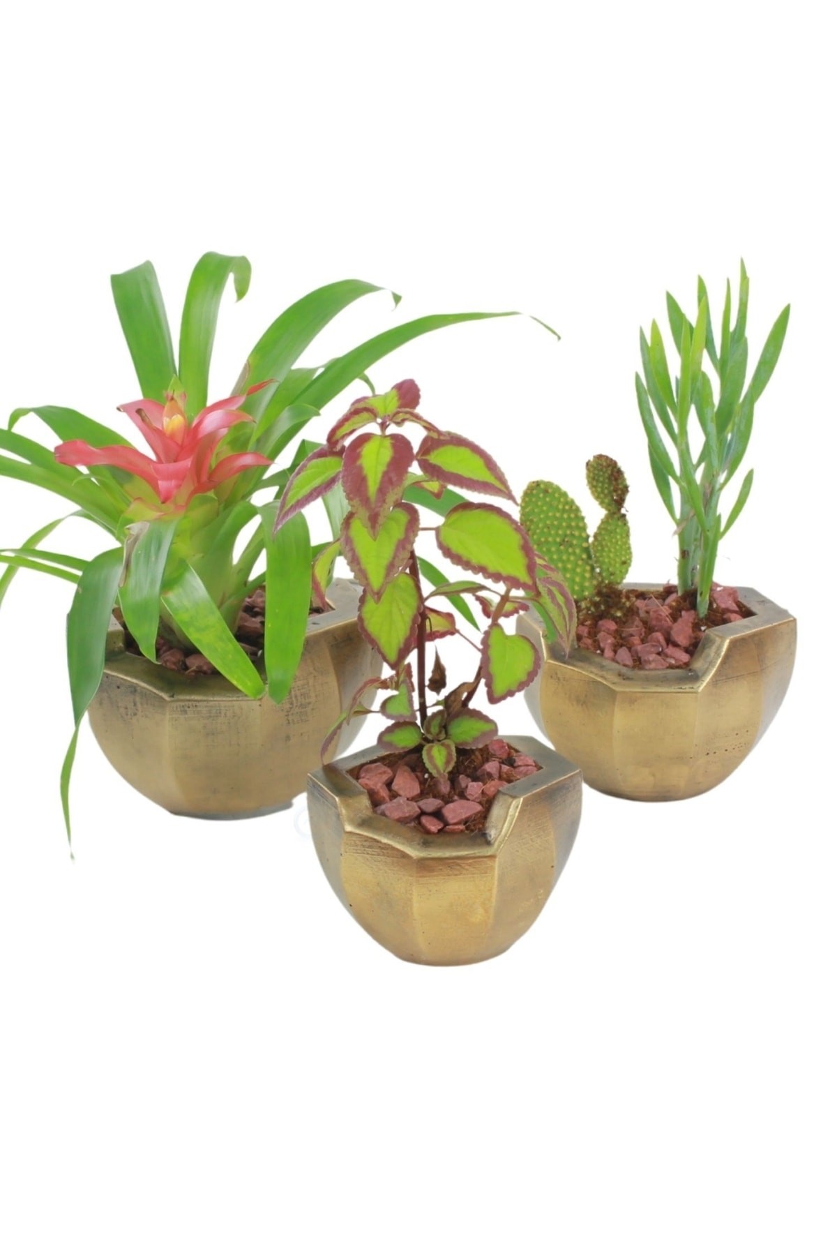 Saksı Çiçek Kaktüs Saksısı Lüx 15 Cm Altın Eskitme Varak Boyalı Önü Açık Desenli 3'lü Set Çiçeklik