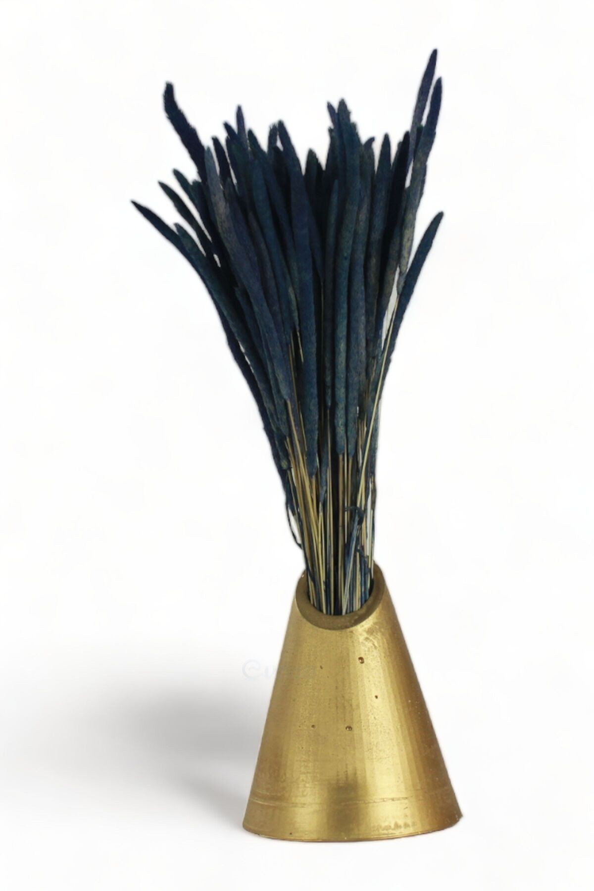 Altın thumbnail image