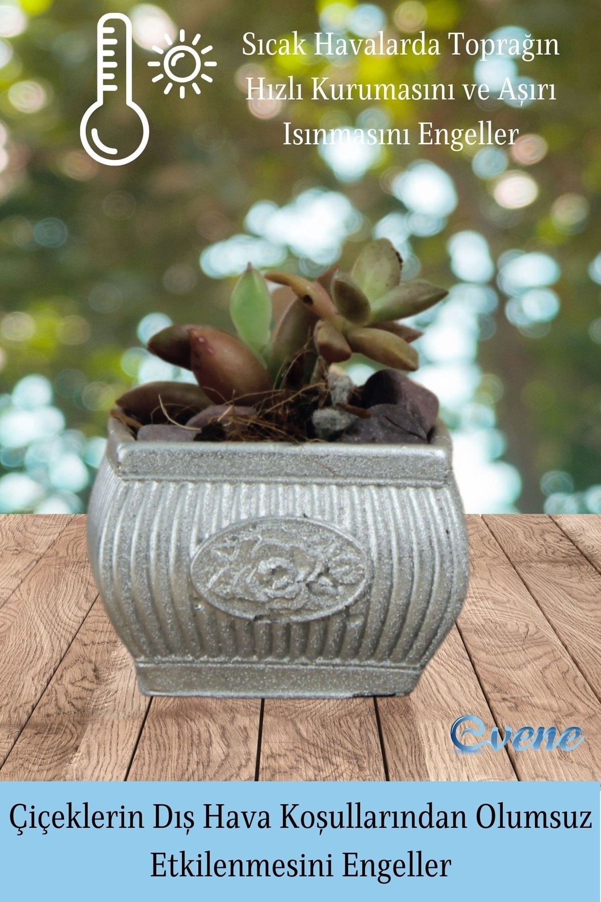 Mini Çiçek Saksı Küçük Sukulent Gümüş Kaktüs Saksısı Mini Çiçekli Model