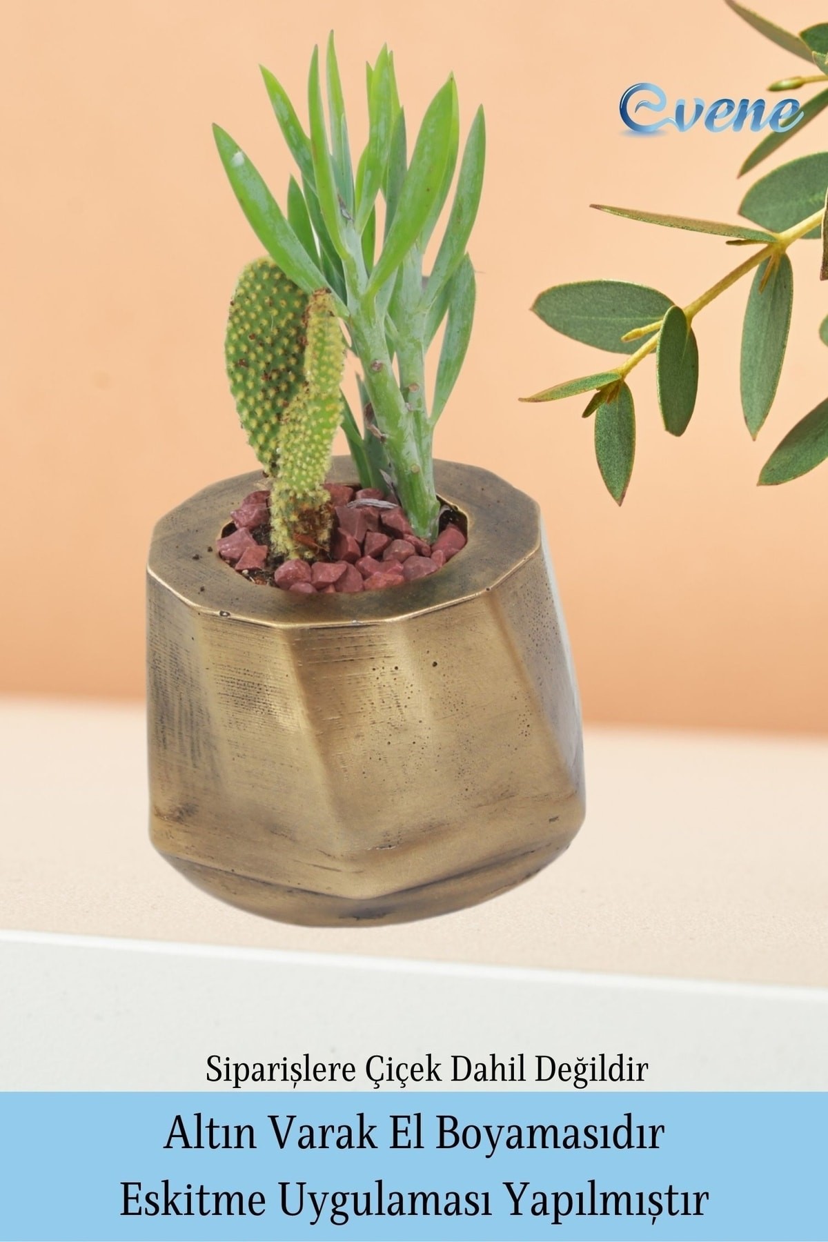 Saksı Çiçek Kaktüs Saksısı Lüx 15 cm Altın Eskitme Varak Boyalı Kalın Çizgi Desen 3'lü Set Çiçeklik