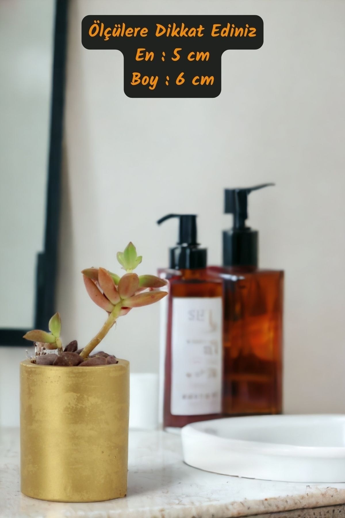 Premium Saksı Minyatür Dekoratif Kaktüs Sukulent Saksısı Model 15