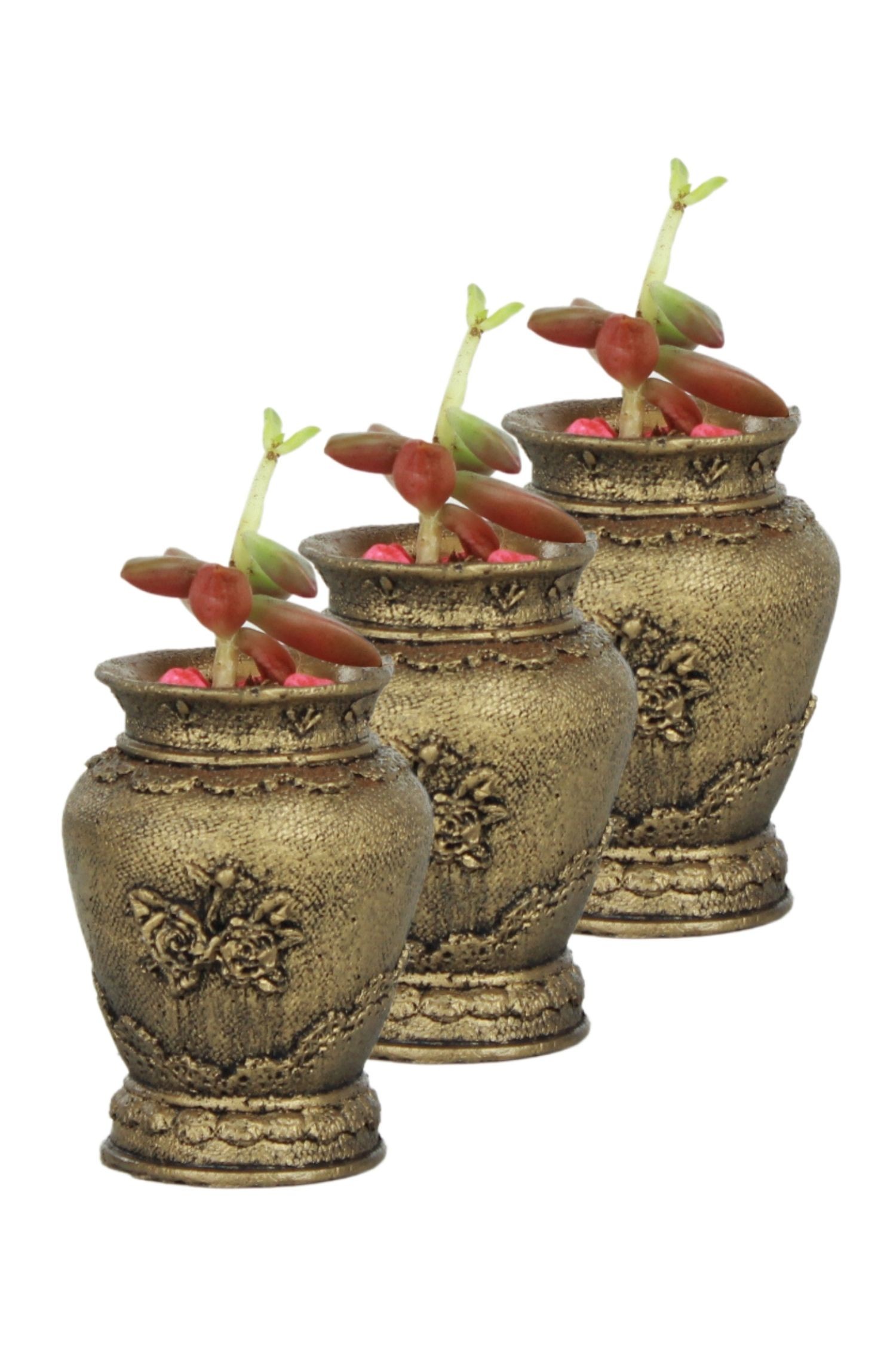 Mini Çiçek Saksısı Küçük Sukulent Altın Eskitme Kaktüs Saksı 3 Adet Set Desenli Vazo Model image