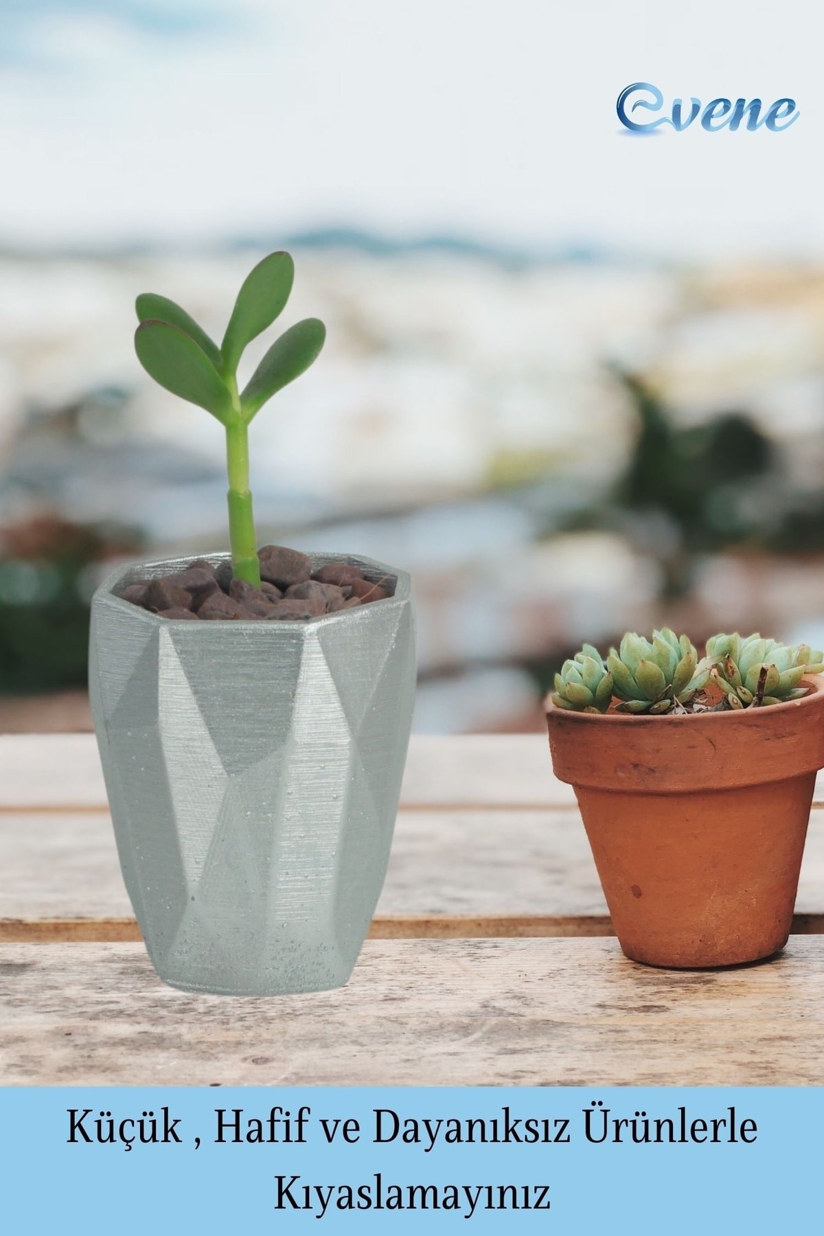 Saksı Kaktüs Saksısı Dekoratif Saksı Model 12