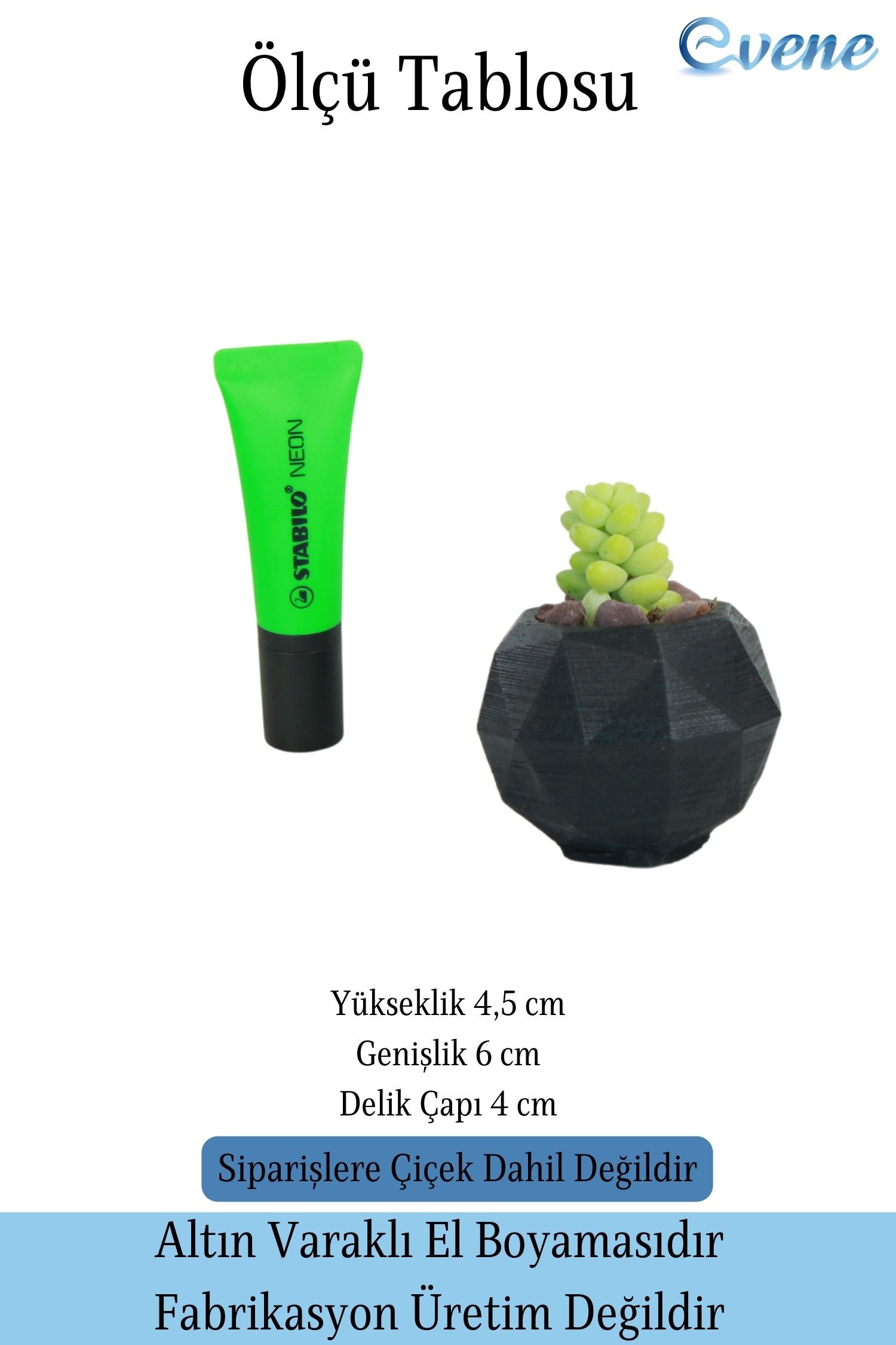 Mini Çiçek Saksısı Küçük Sukulent Siyah Kaktüs Saksı Poly Silindir Model