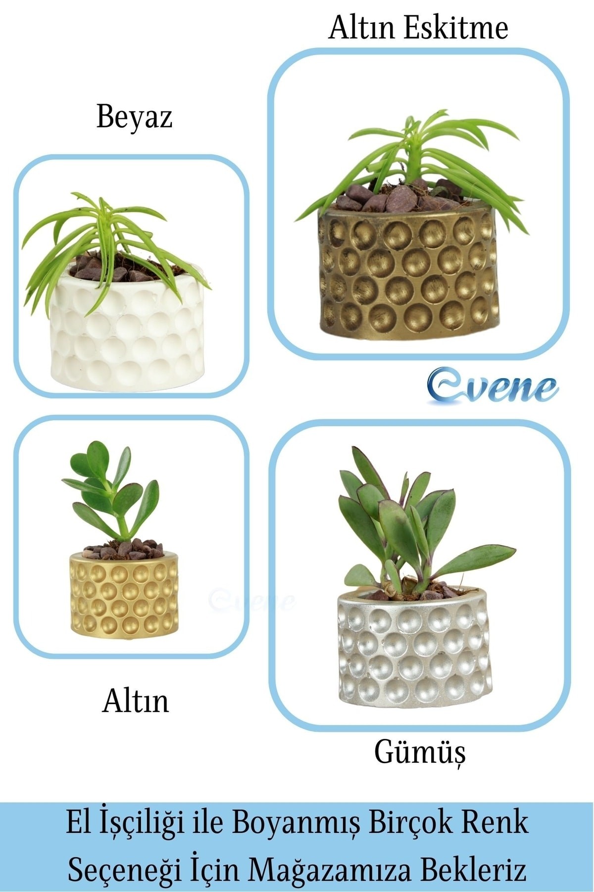 Mini Çiçek Saksı Küçük Sukulent Beyaz Kaktüs Saksısı 3'lü Set Puantiyeli Model