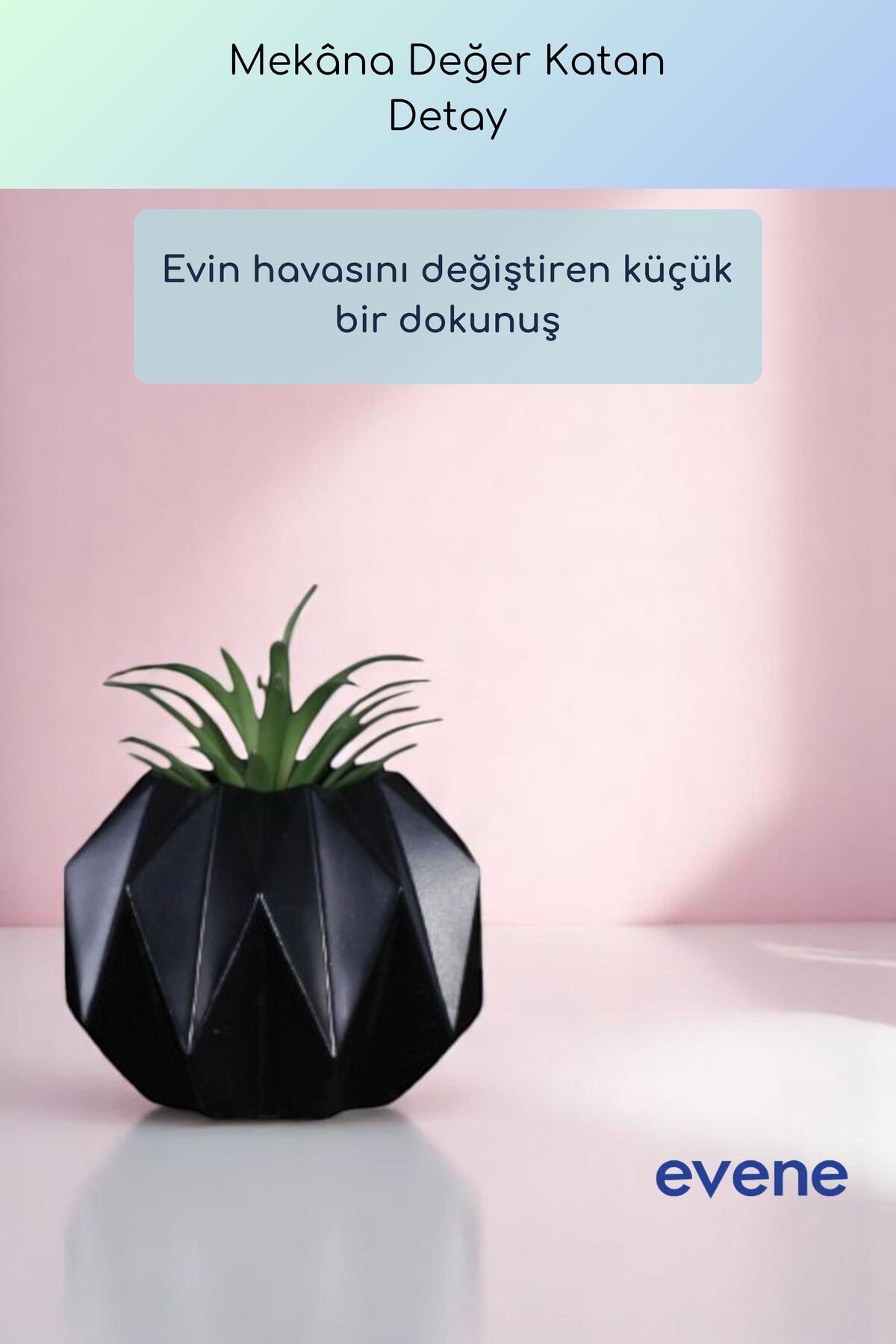Saksı Dekoratif Saksı Kaktüs Saksısı Sukulent Saksısı Küçük Saksı Model 45 Siyah Saksı