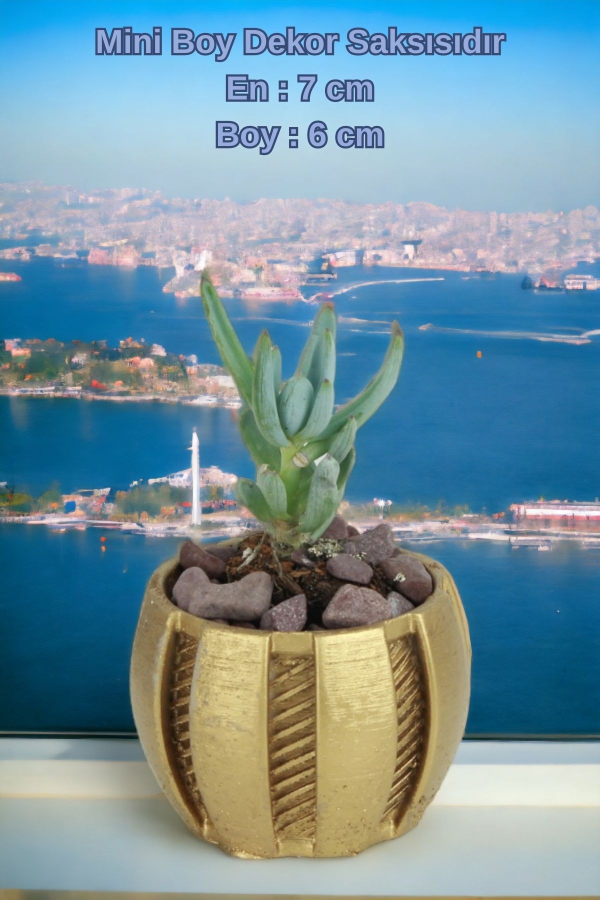 Altın thumbnail image