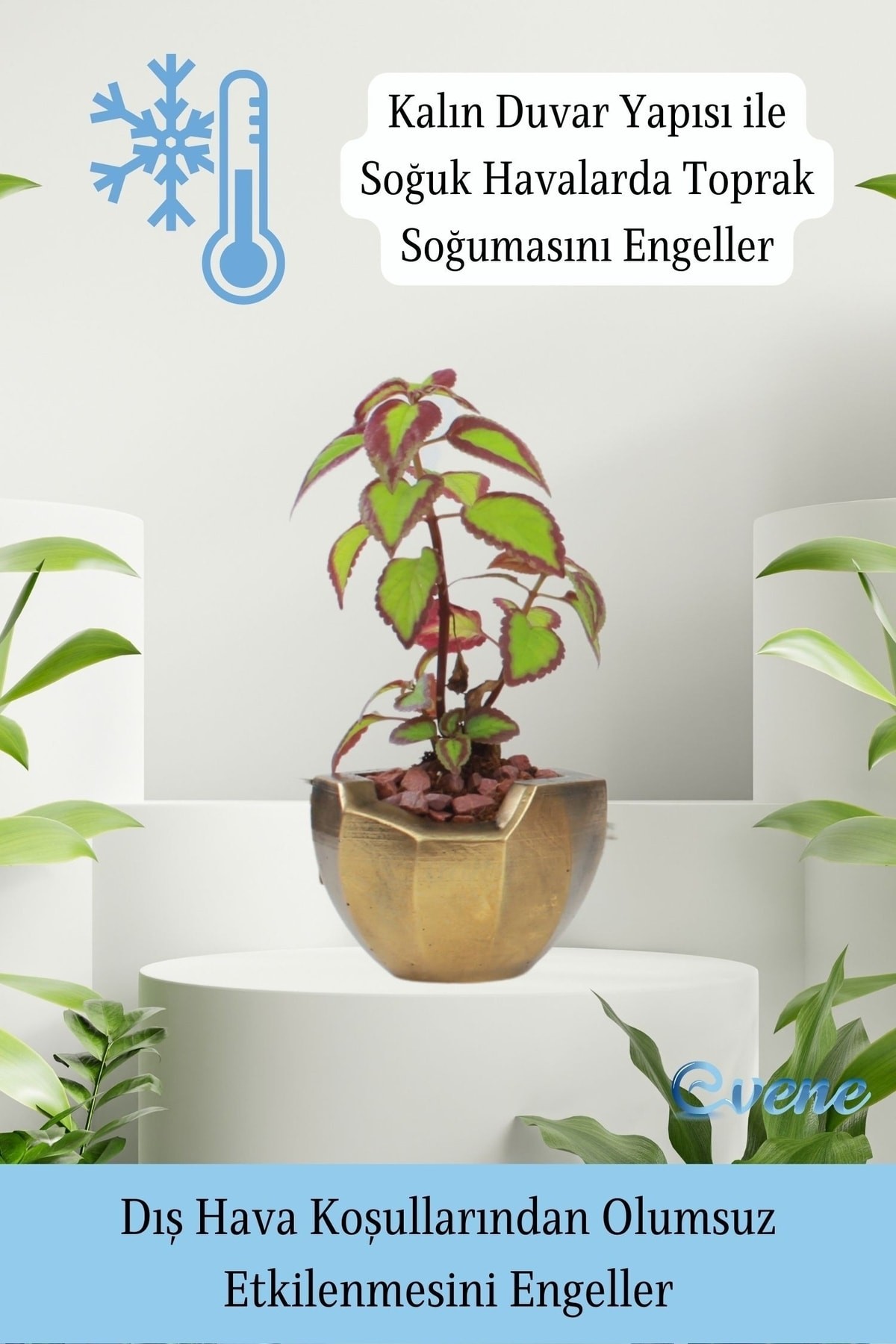 Saksı Çiçek Kaktüs Saksısı Lüx 11,5 Cm Gümüş Eskitme Varak Boyalı Önü Açık Desen Saksı Çiçeklik