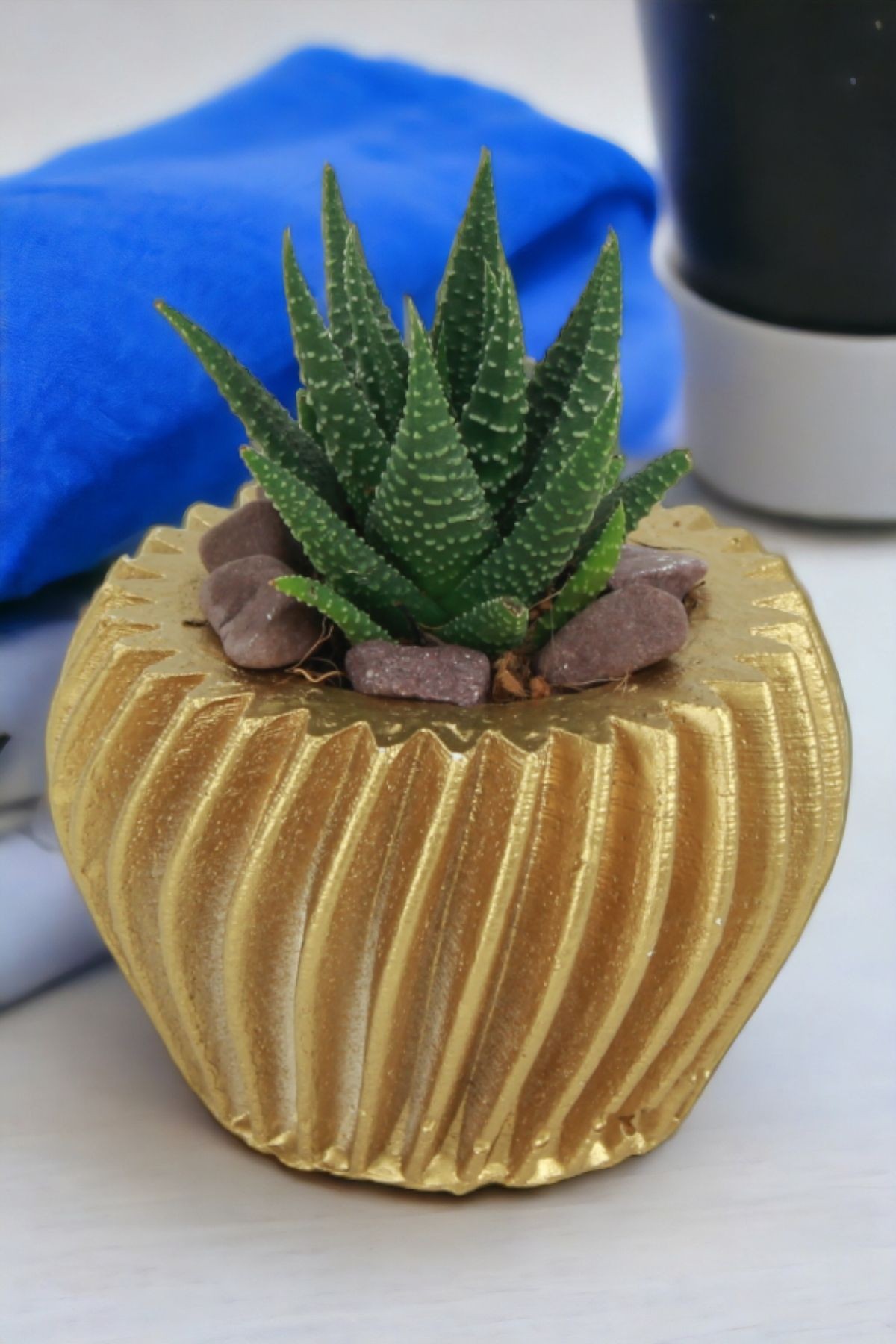 Altın thumbnail image