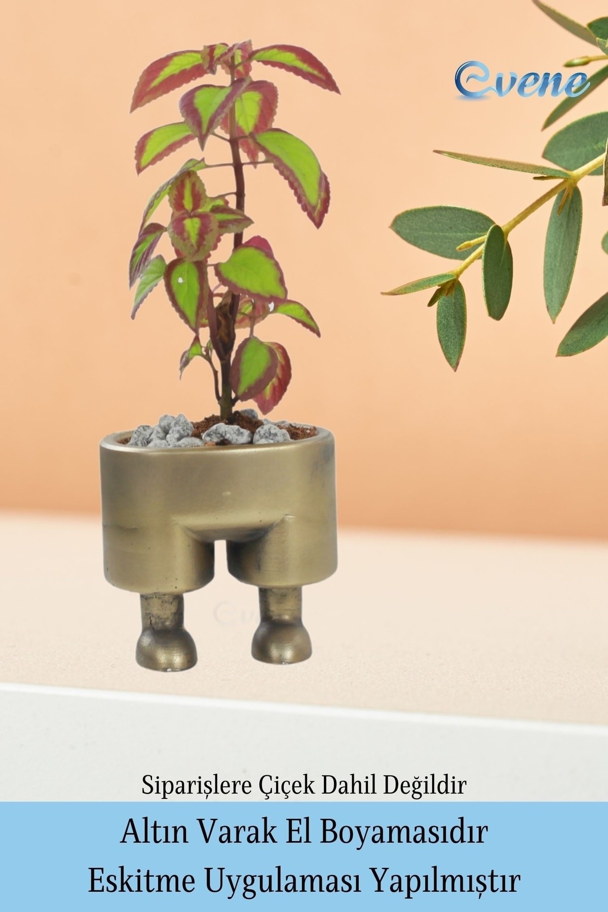 Ahşap Ayaklı Beton Saksı Büyük Boy Set 3 Adet Altın Varak Boyalı Eskitmeli Pantolon Model