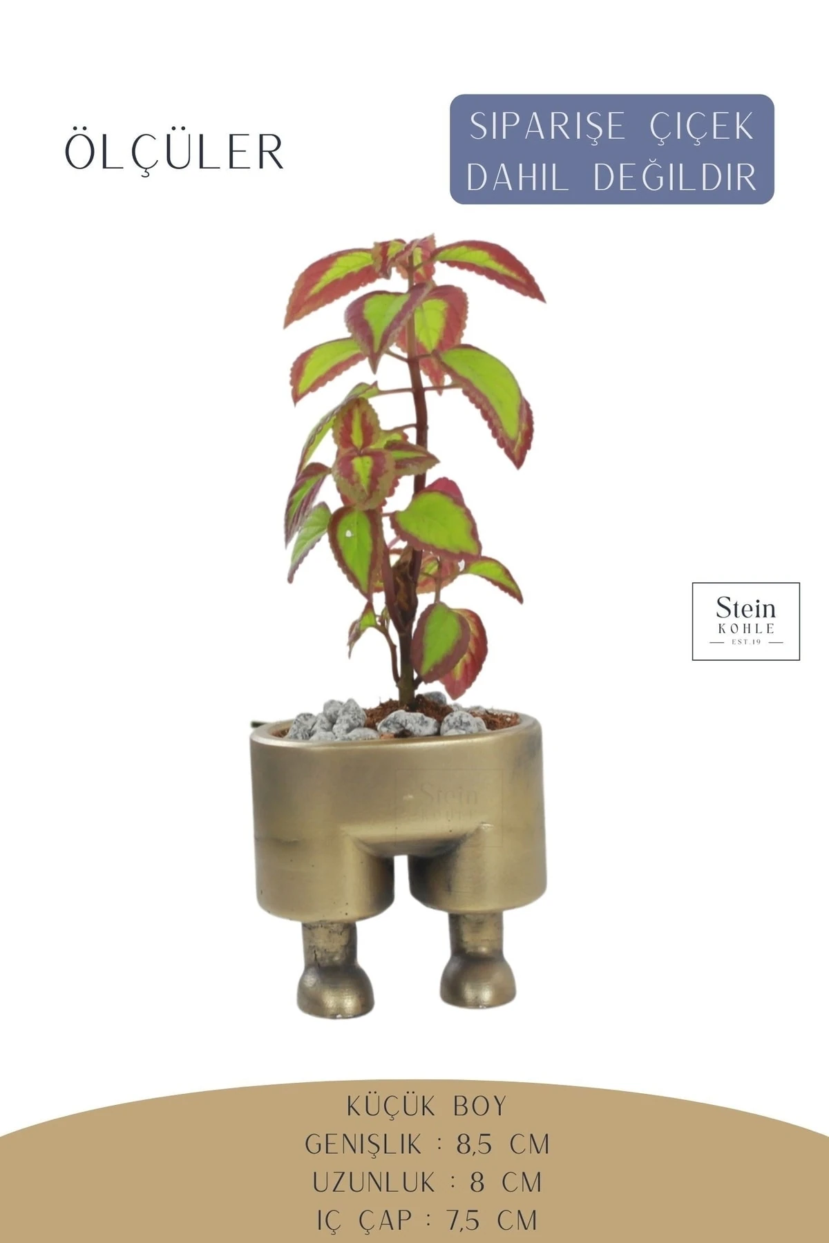 Çiçek Saksısı Dekoratif Kaktüs Saksı 1 Adet Altın Renk Eskitme Uygulamalı Pantolon Model