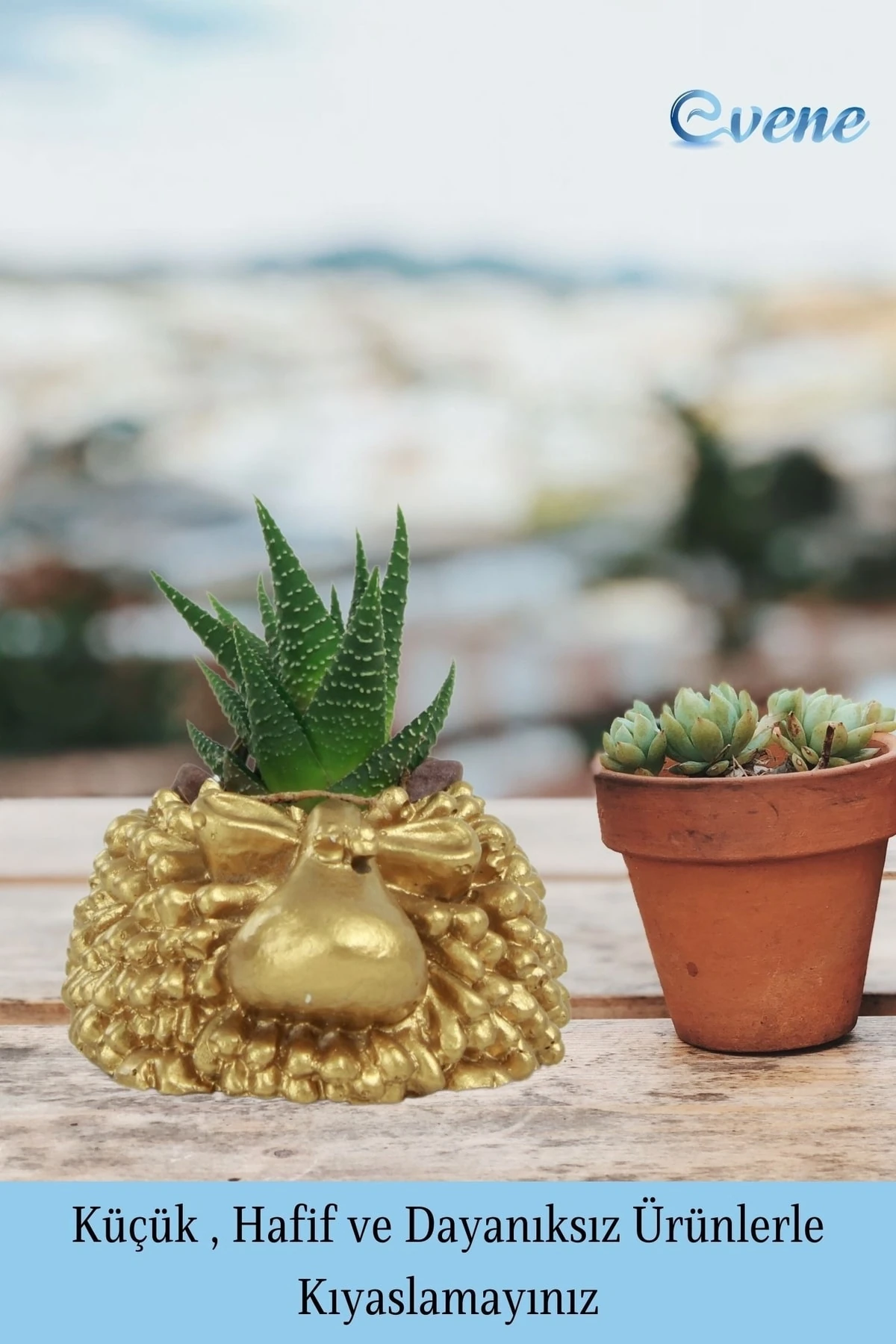 Altın thumbnail image