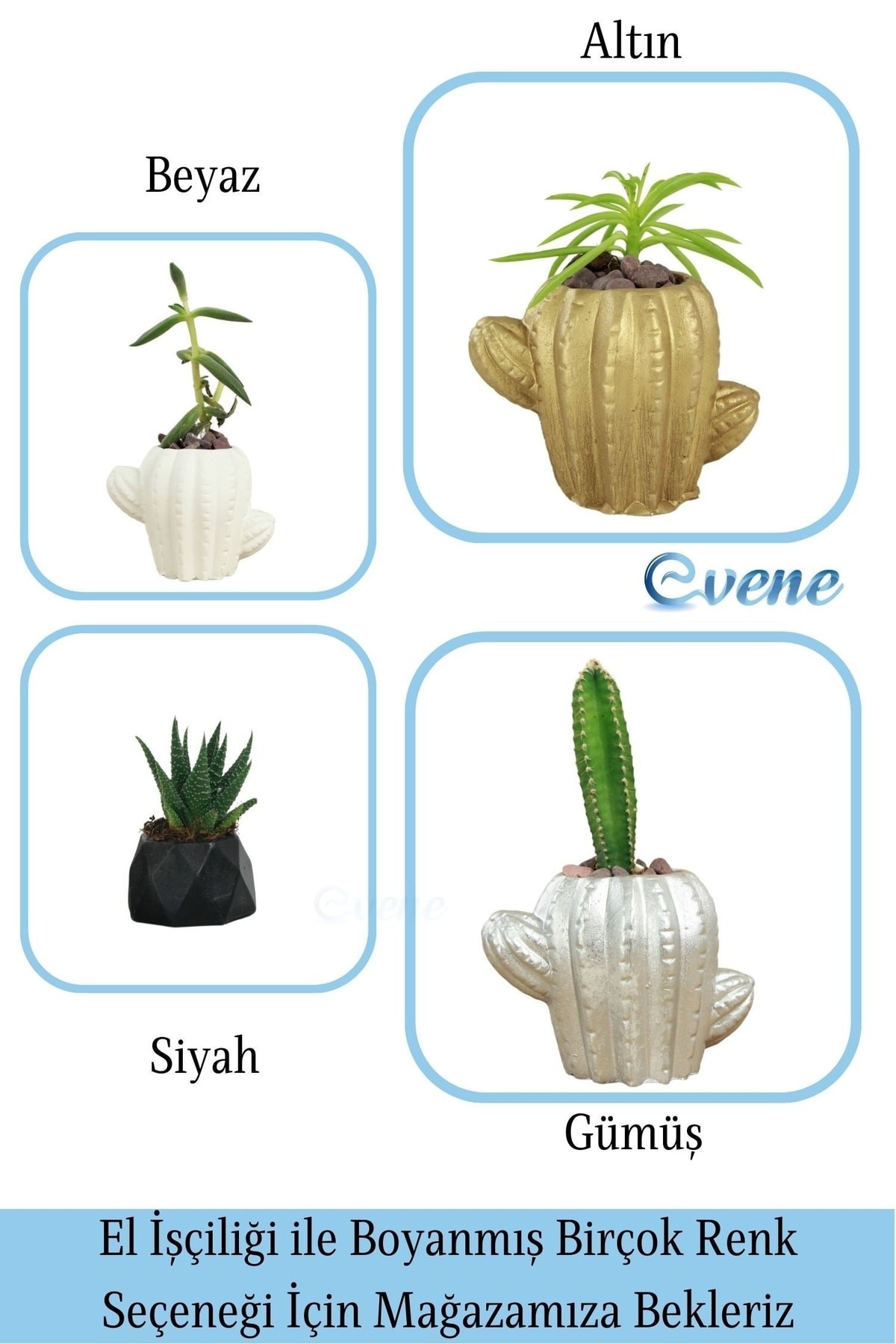 Mini Çiçek Saksı Küçük Sukulent Beyaz Kaktüs Saksısı Kaktüs Figür Model