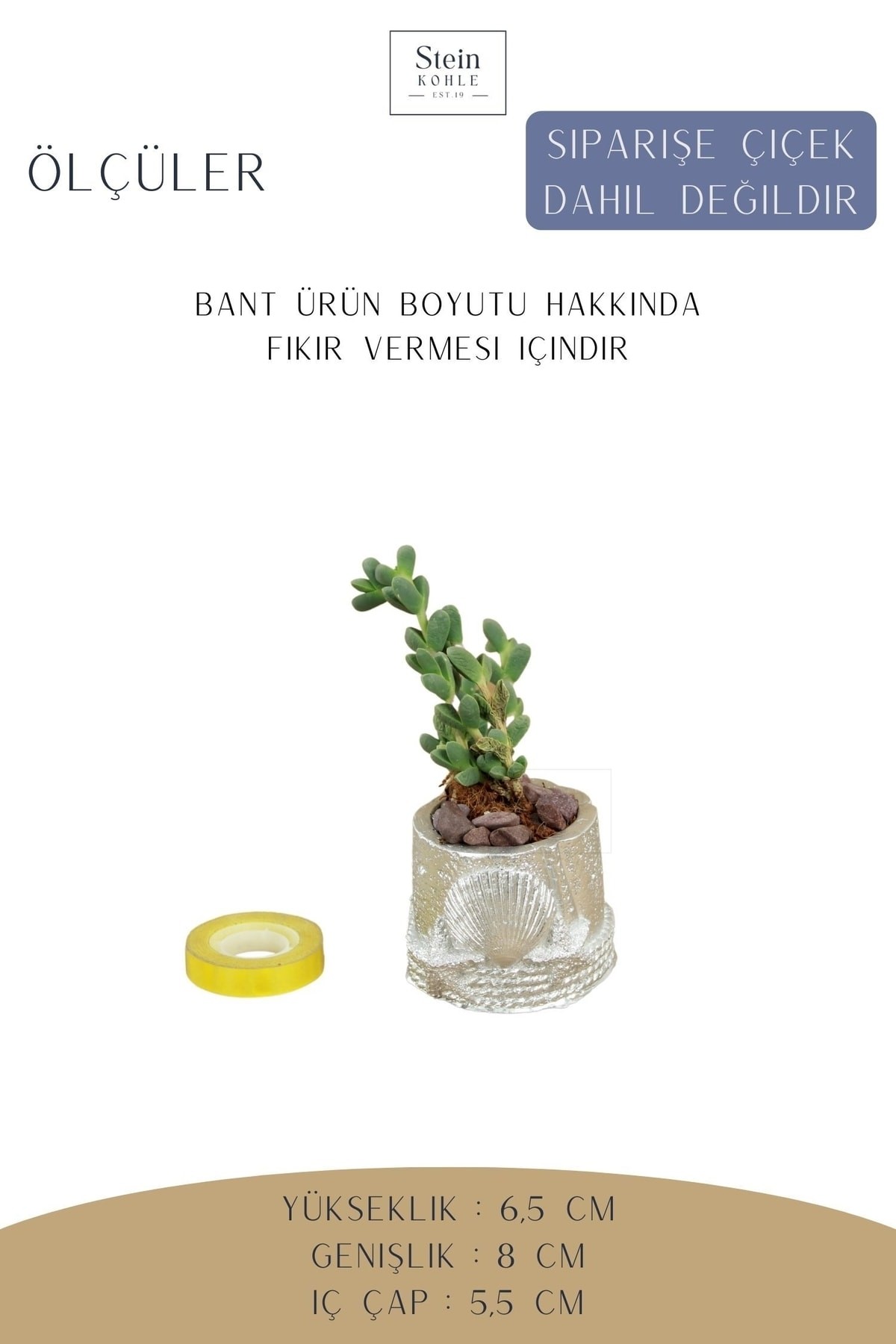 Gümüş thumbnail image