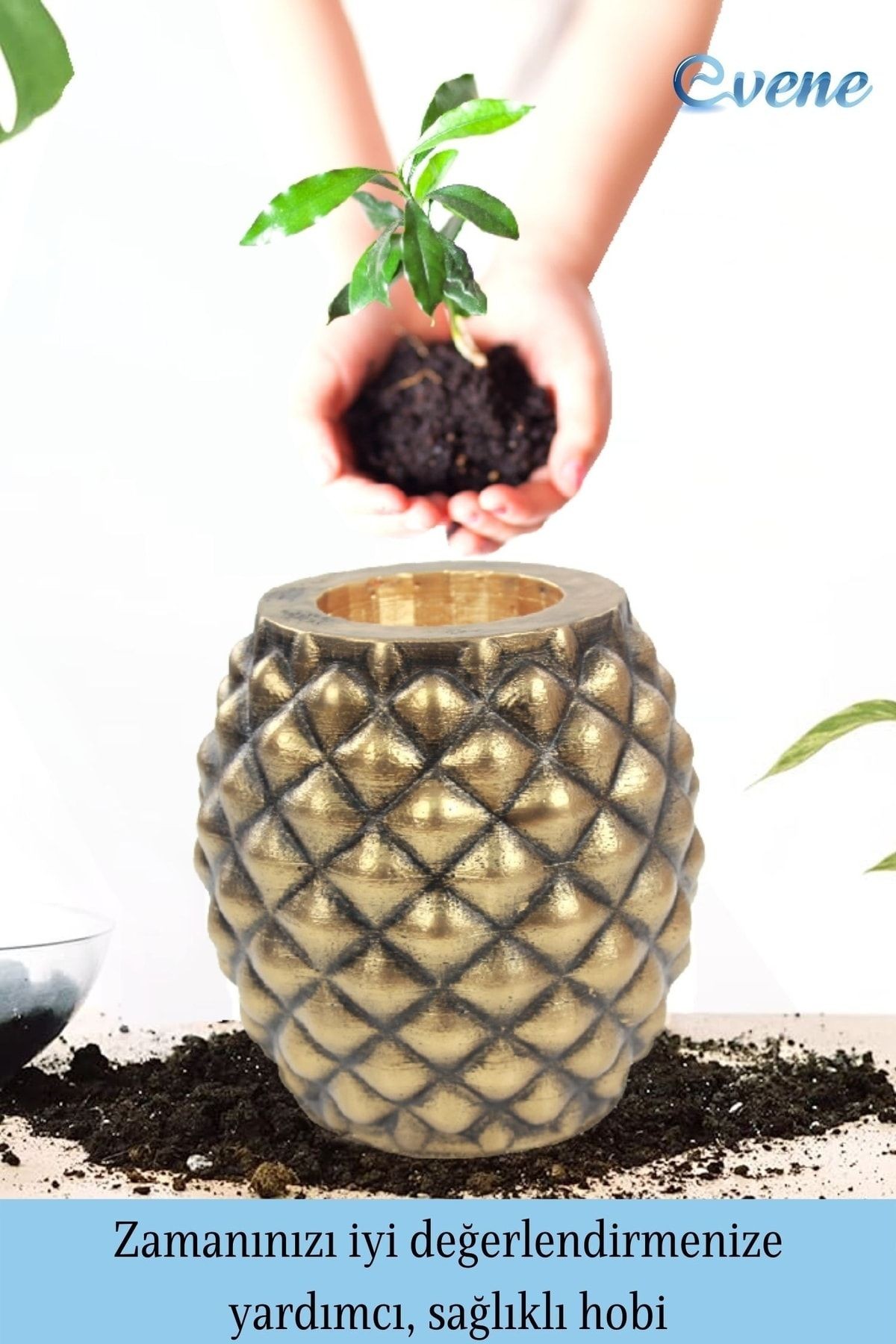 Saksı Çiçek Kaktüs Saksısı Lüx 15 Cm Altın Eskitme Varak Boyalı Ananas Desen Saksı Çiçeklik