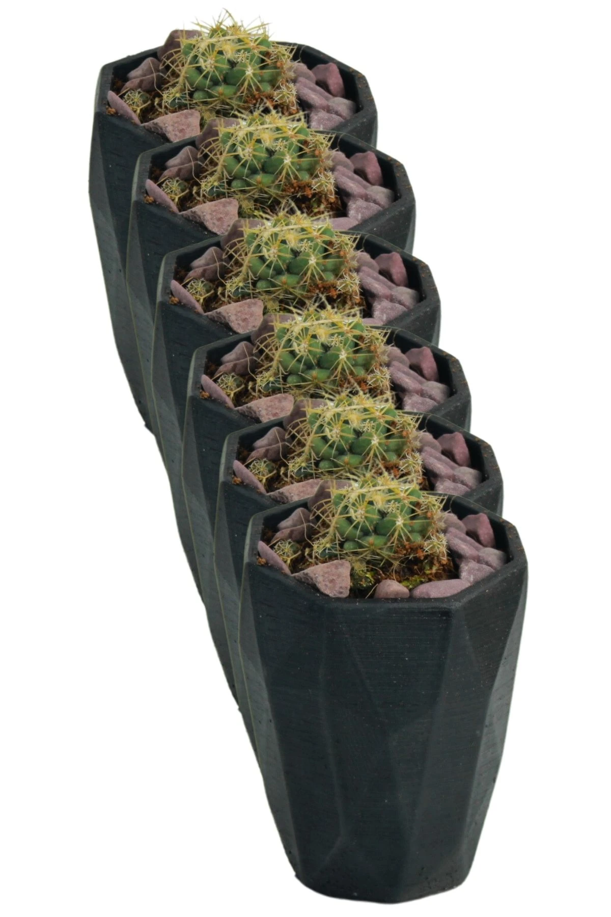 SİYAH thumbnail image