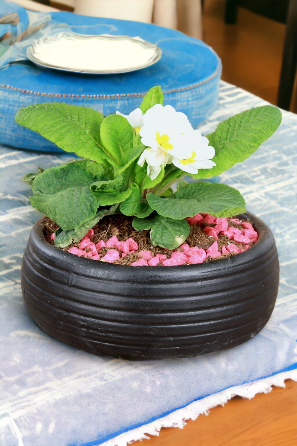 SİYAH thumbnail image