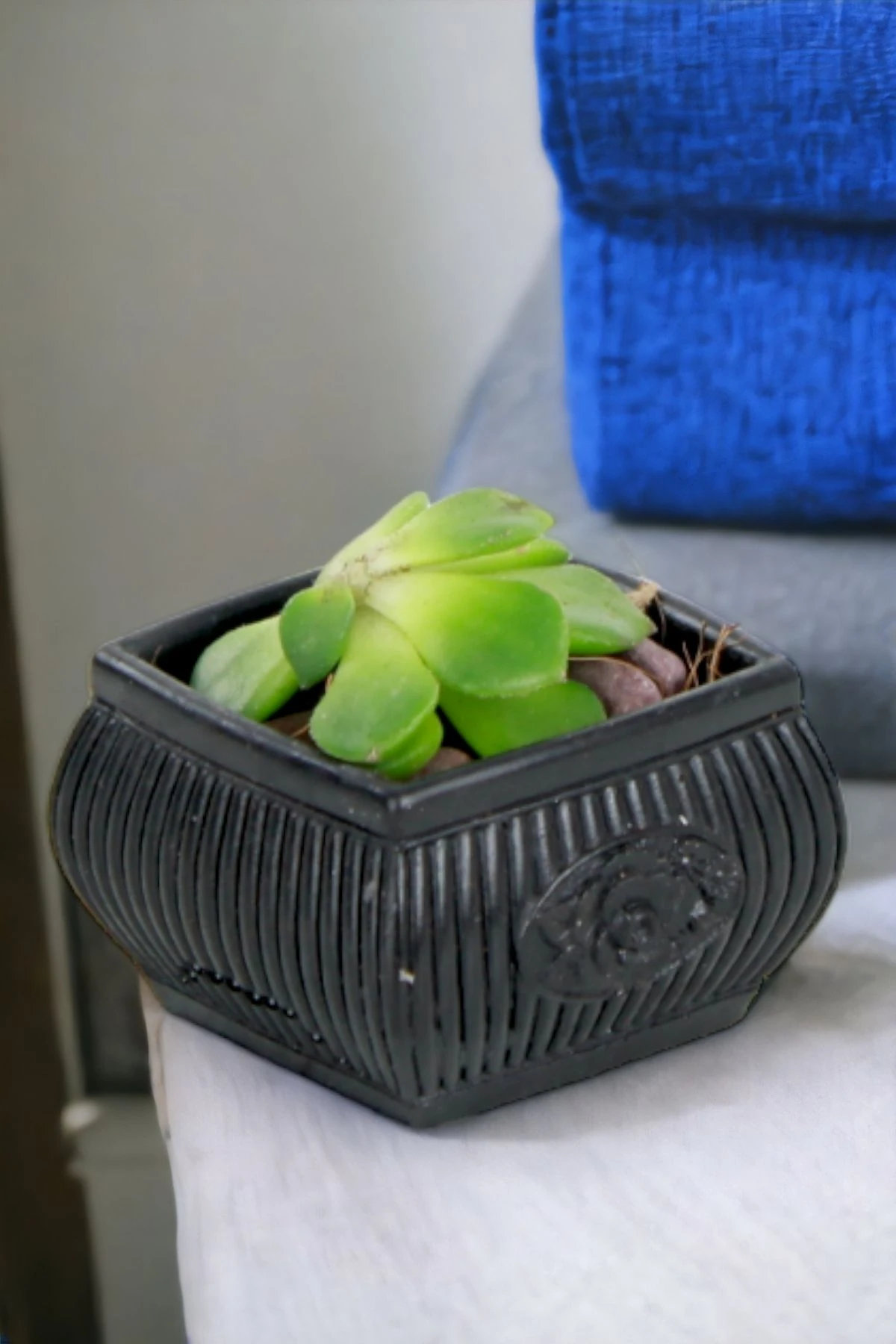 SİYAH thumbnail image