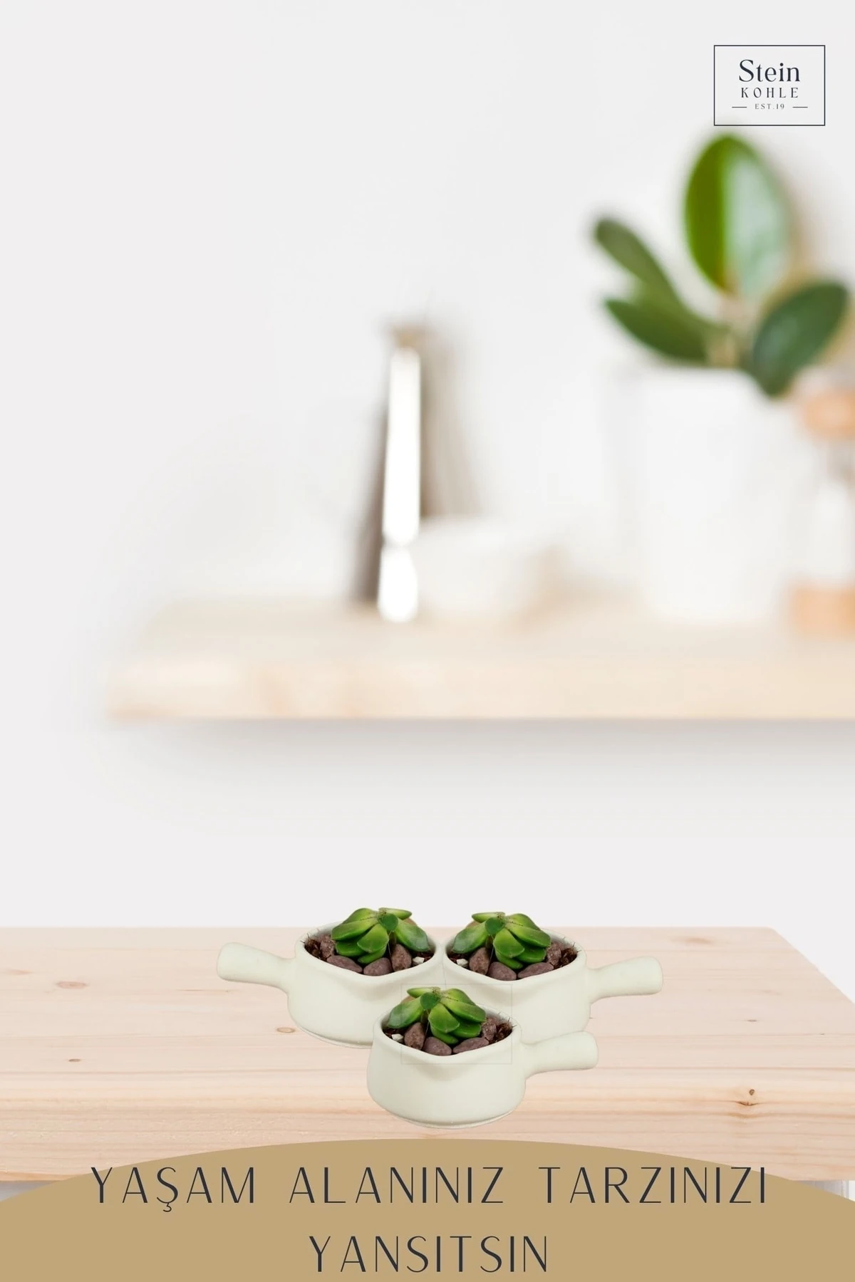 Dekoratif Saksı Minik Kaktüs Saksısı Beyaz Renk 3 Adet Saksı Seti Mini Tava Model