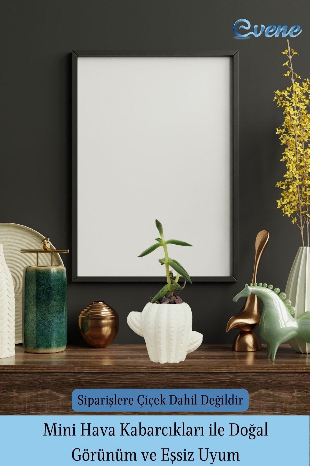 Mini Çiçek Saksı Küçük Sukulent Beyaz Kaktüs Saksısı Kaktüs Figür Model
