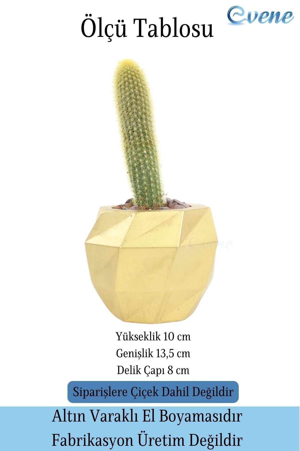 Saksı Çiçek Kaktüs Saksısı Lüx 13 Cm Altın Varak Boyalı Burgu Desen Saksı Çiçeklik