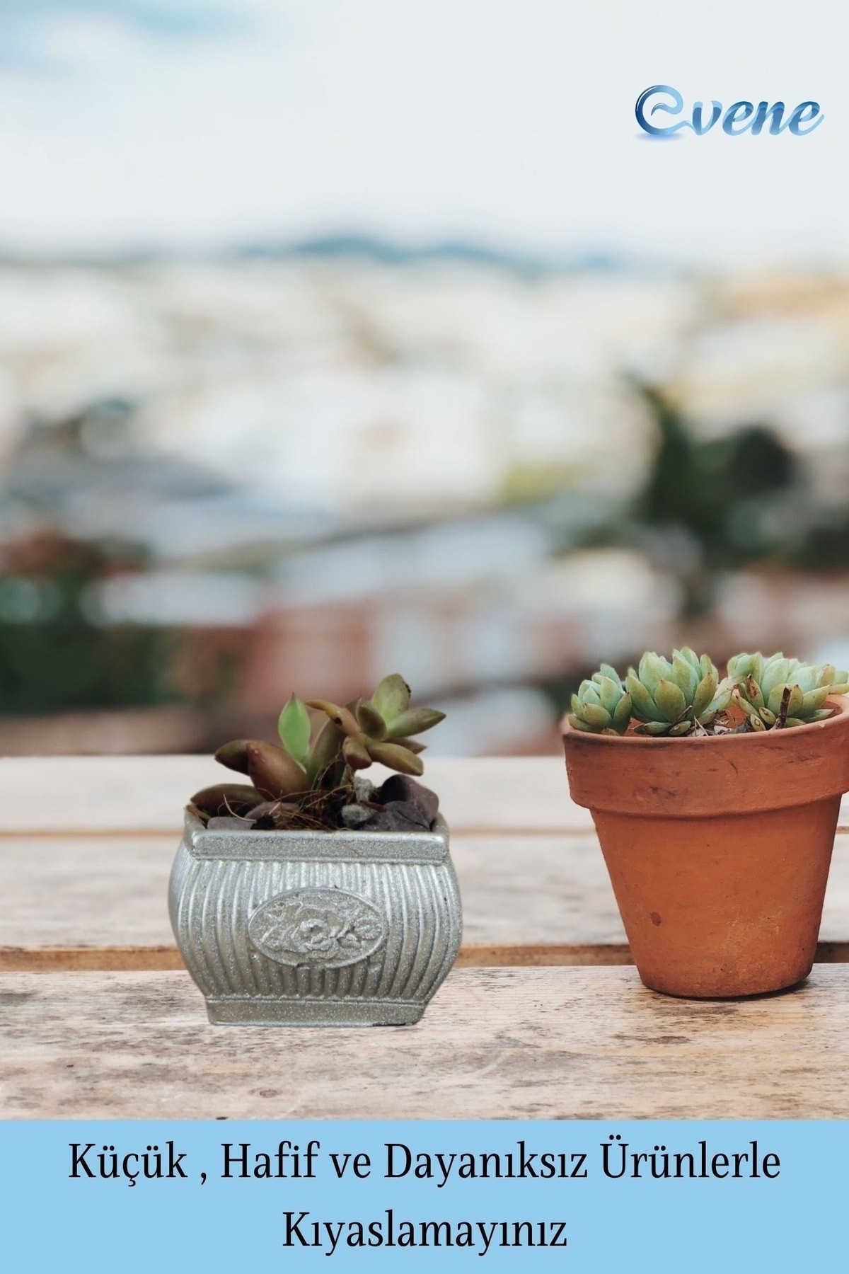 Mini Çiçek Saksı Küçük Sukulent Gümüş Kaktüs Saksısı Mini Çiçekli Model