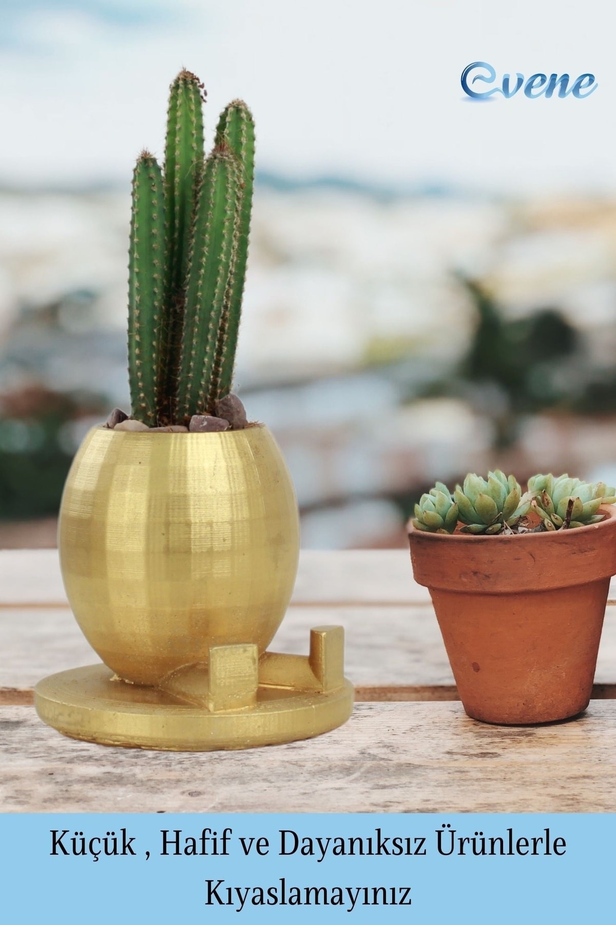 Saksı Çiçek Kaktüs Saksısı Lüx 17 Cm Altın Varak Boyalı Yuvarlak Ayaklı Saksı 2'li Set Çiçeklik