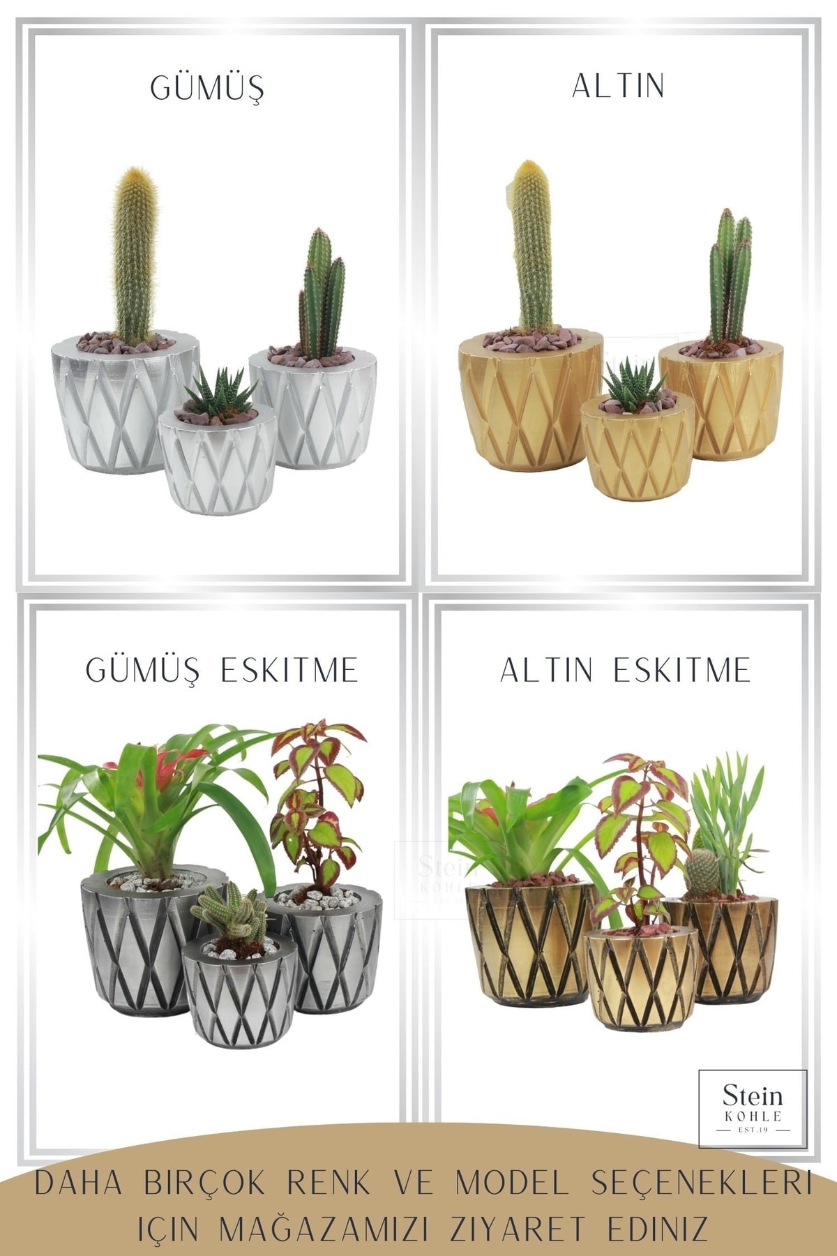 Altın thumbnail image