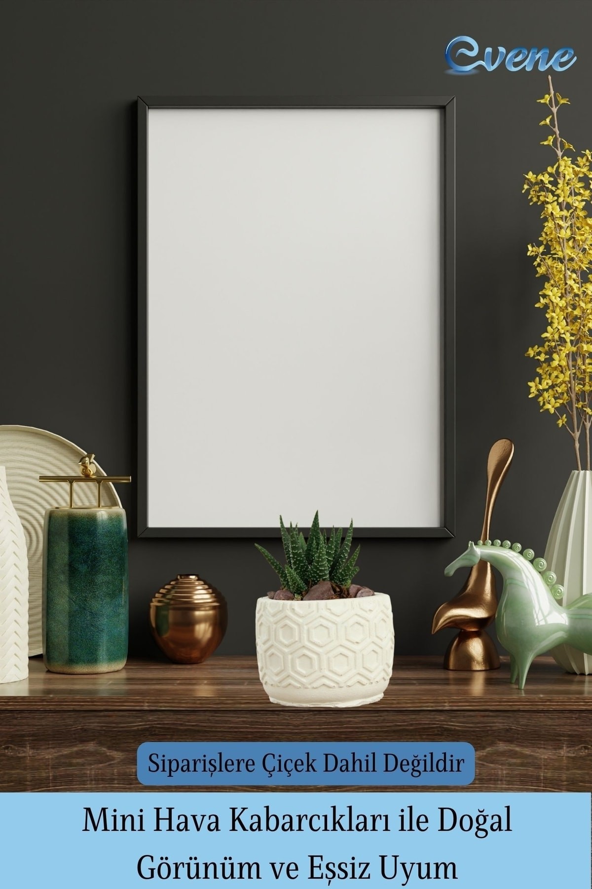 Mini Çiçek Saksı Küçük Sukulent Beyaz Kaktüs Saksısı 3'lü Set Altıgen Model