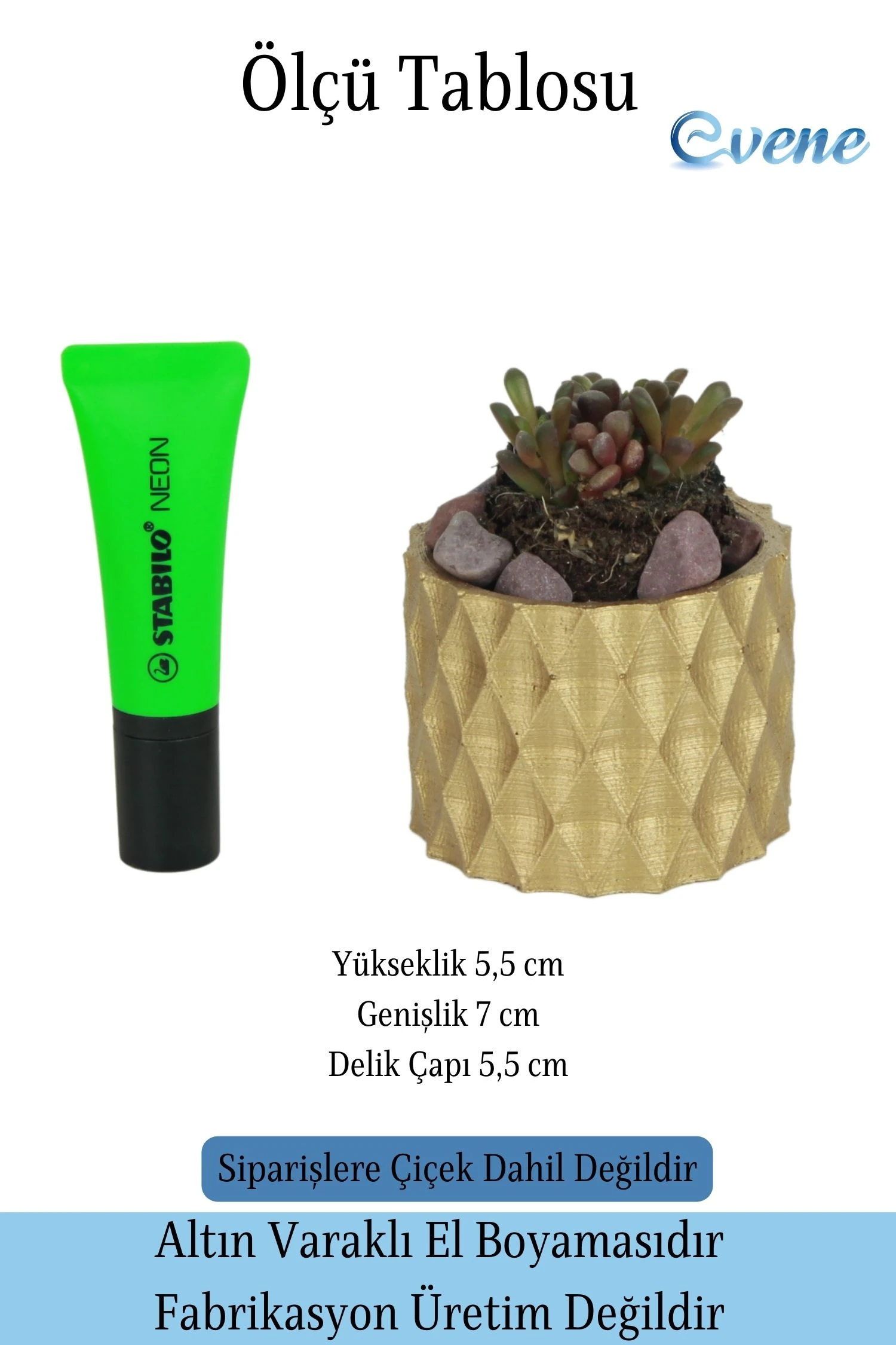 Mini Çiçek Saksısı Küçük Sukulent Altın Kaktüs Saksı Baklava Model