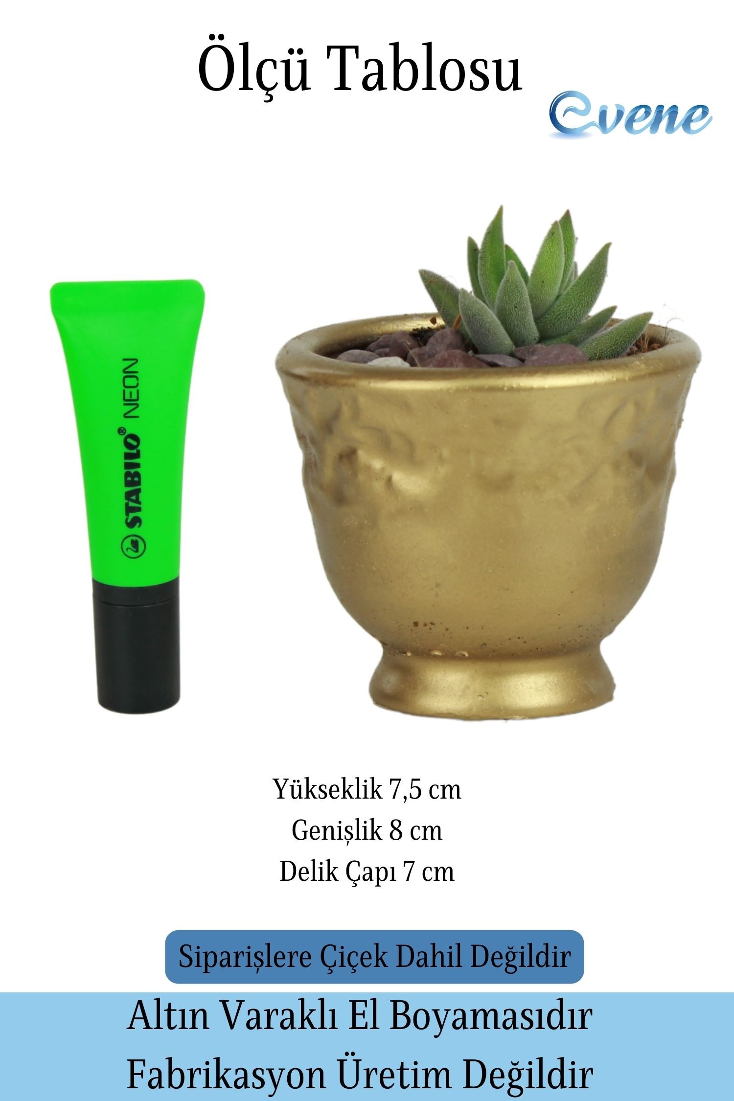 Kaktüs Saksısı Dekoratif Saksı Model 14