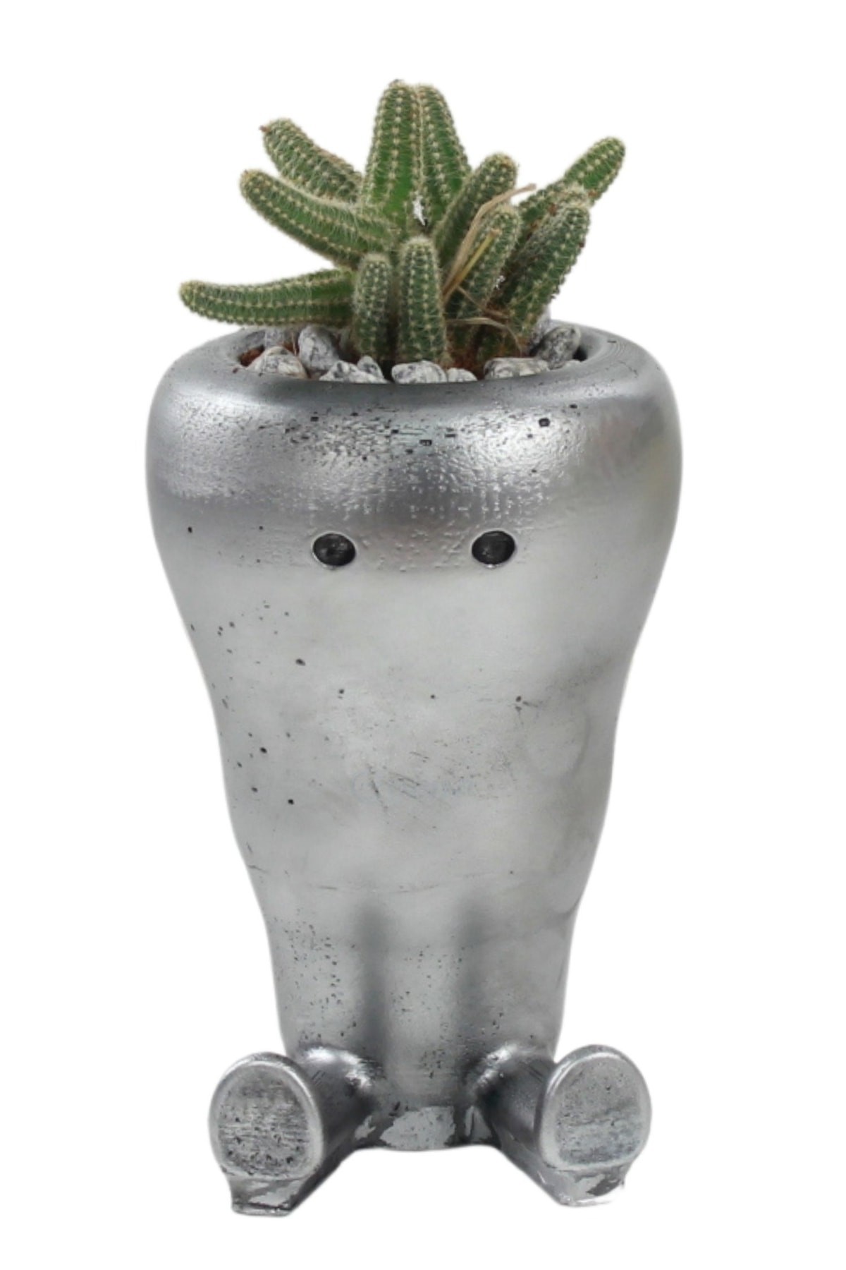 Saksı Çiçek Kaktüs Saksısı Lüx 12 Cm Gümüş Eskitme Varak Boyalı Havuç Desen Saksı Çiçeklik
