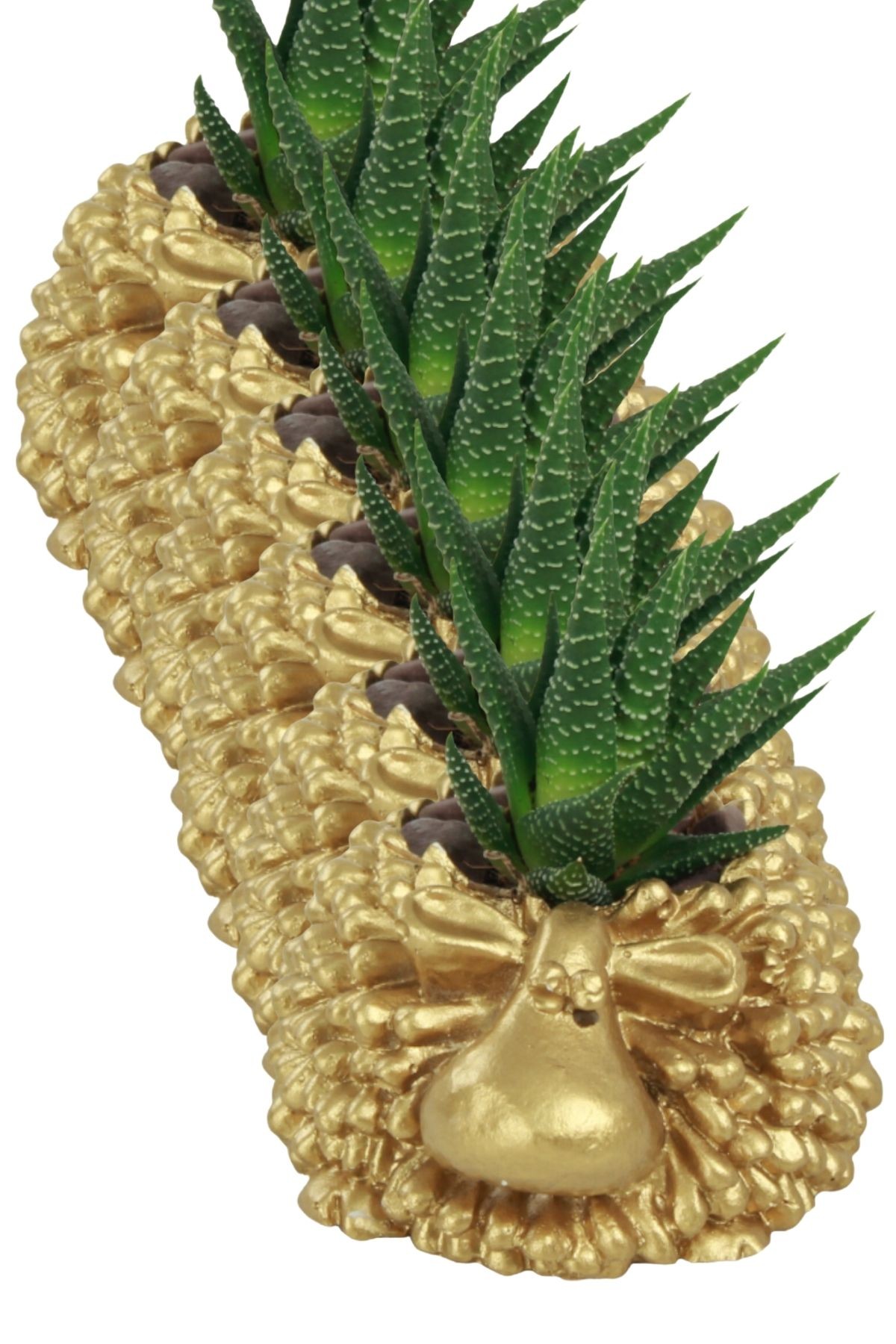 Altın thumbnail image