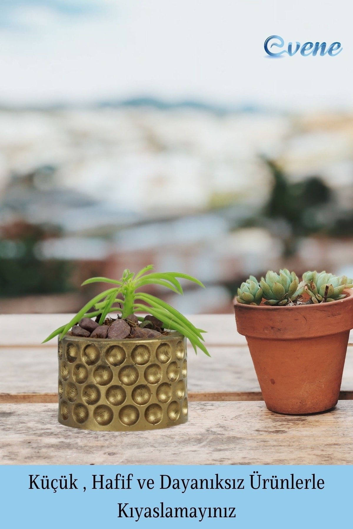 Mini Çiçek Saksı Küçük Sukulent Altın Eskitme Kaktüs Saksısı Puantiyeli Model
