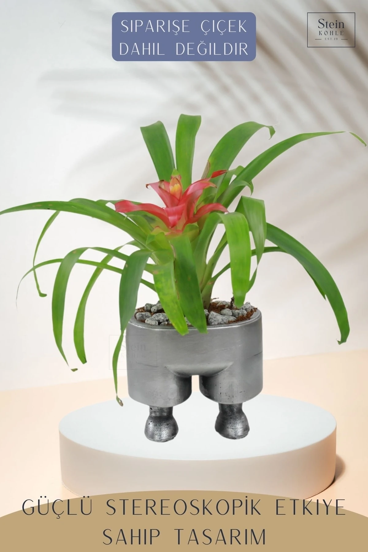 GÜMÜŞ ESKİTME thumbnail image