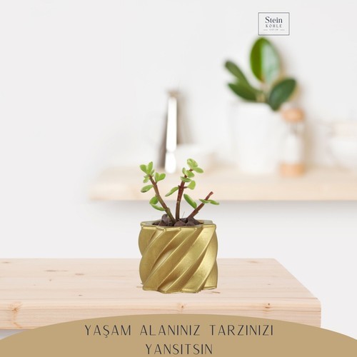 Dekoratif Saksı Minik Kaktüs Saksısı Kalın Çizgi Yıldız Model