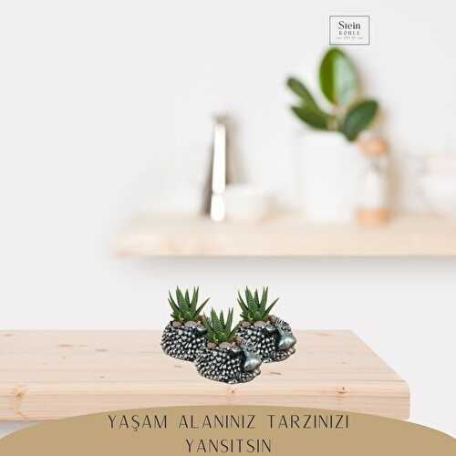 Stein Kohle Dekoratif Saksı Minik Kaktüs Saksısı Koyun Model