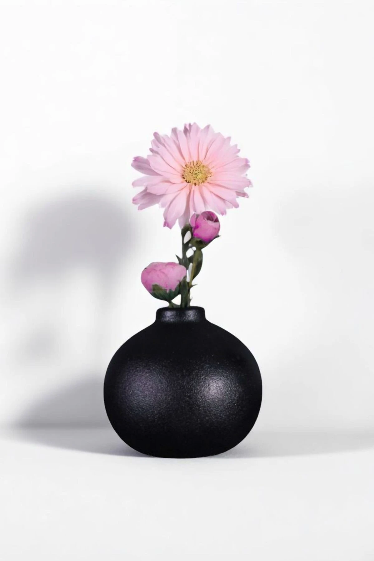 SİYAH thumbnail image