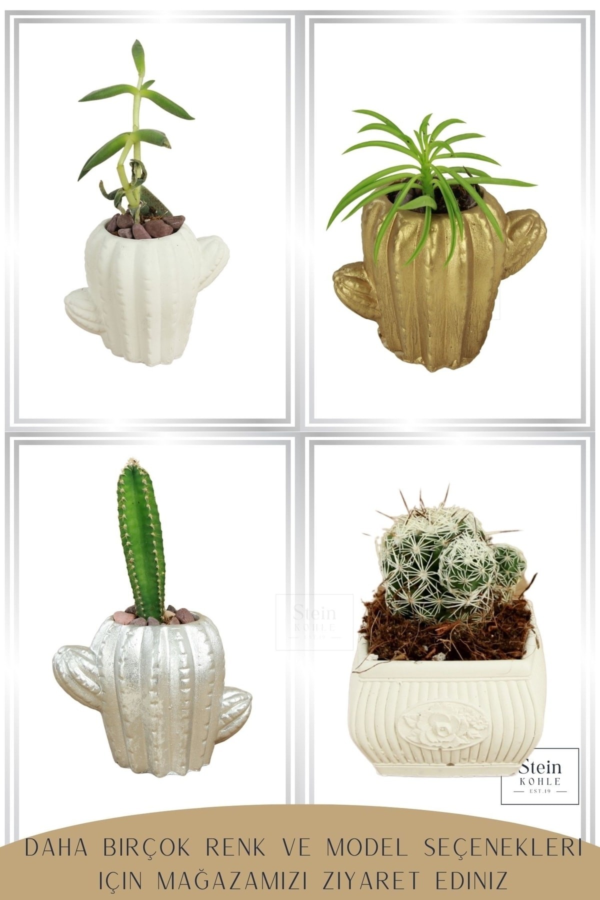 Gümüş thumbnail image