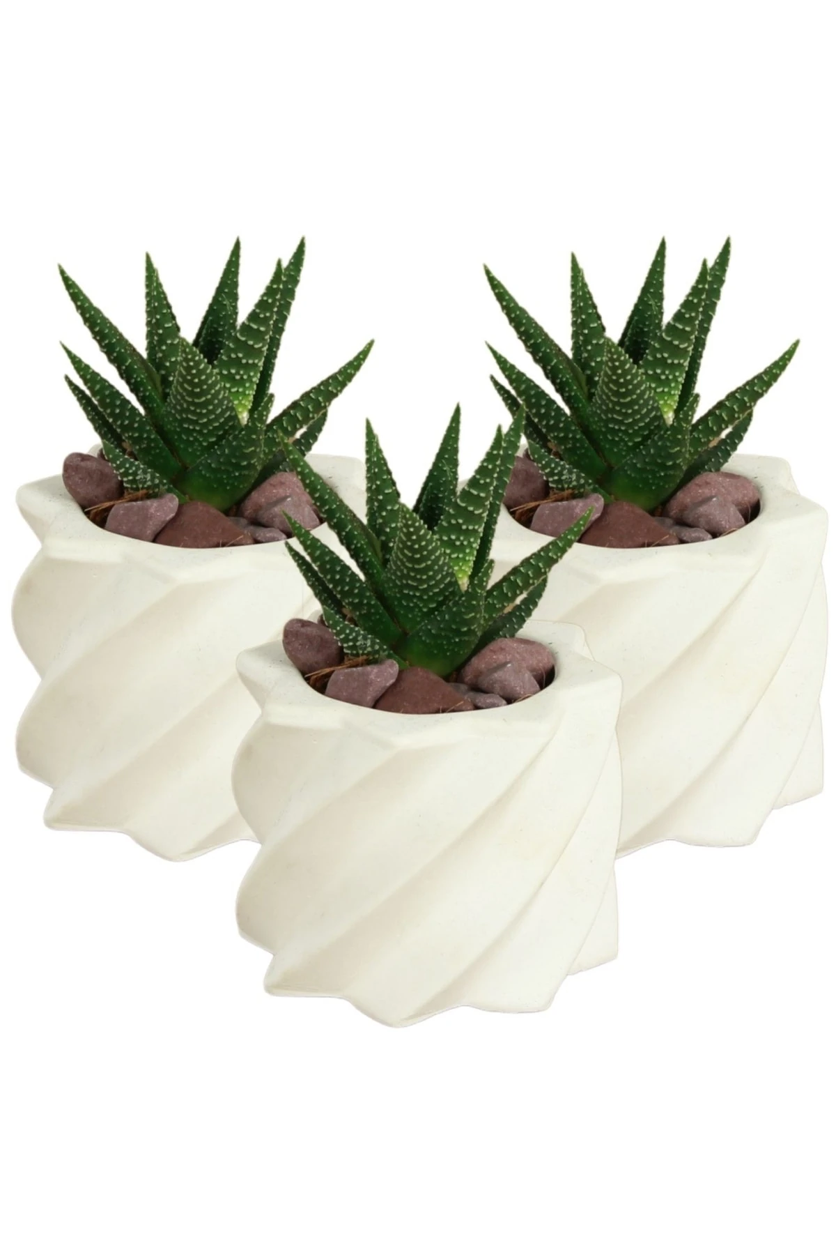 Dekoratif Saksı Minik Kaktüs Saksısı Beyaz Renk 3 Adet Saksı Seti Kalın Yıldız Model