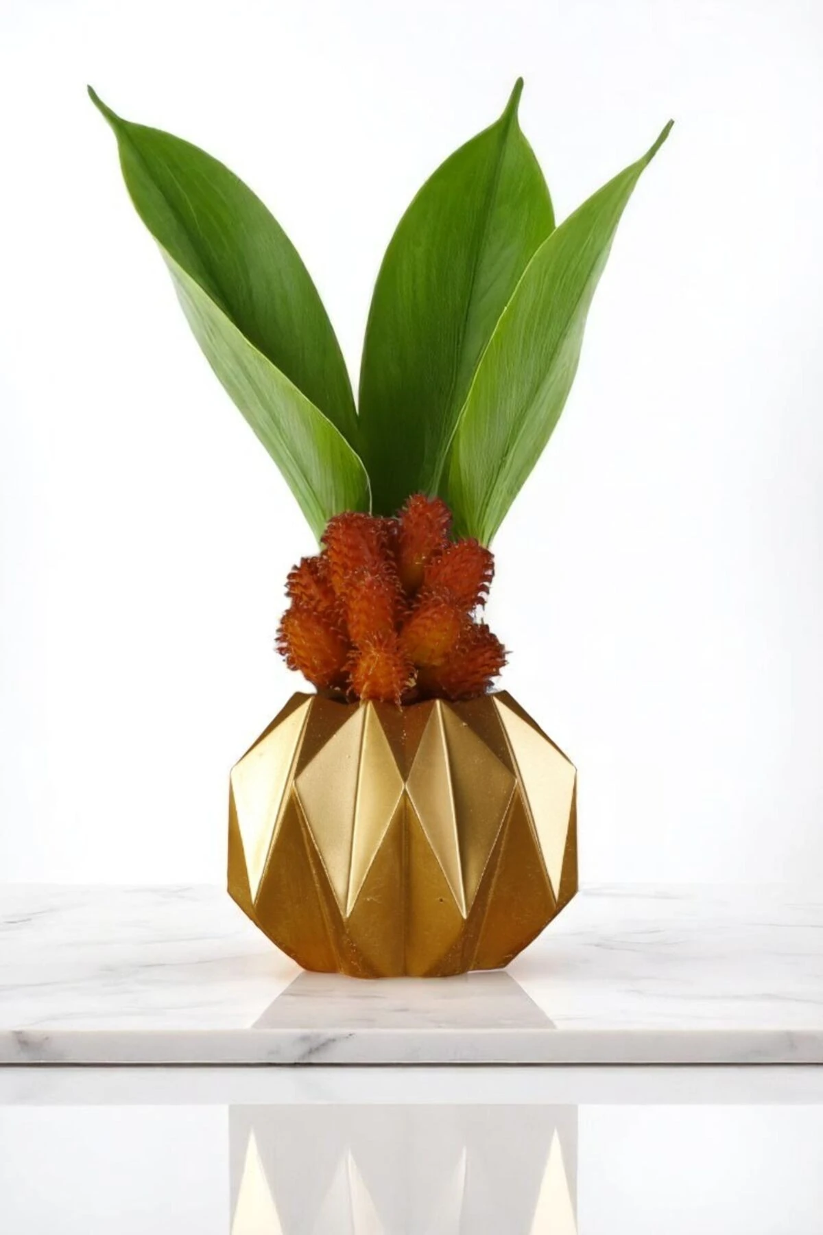 Altın thumbnail image